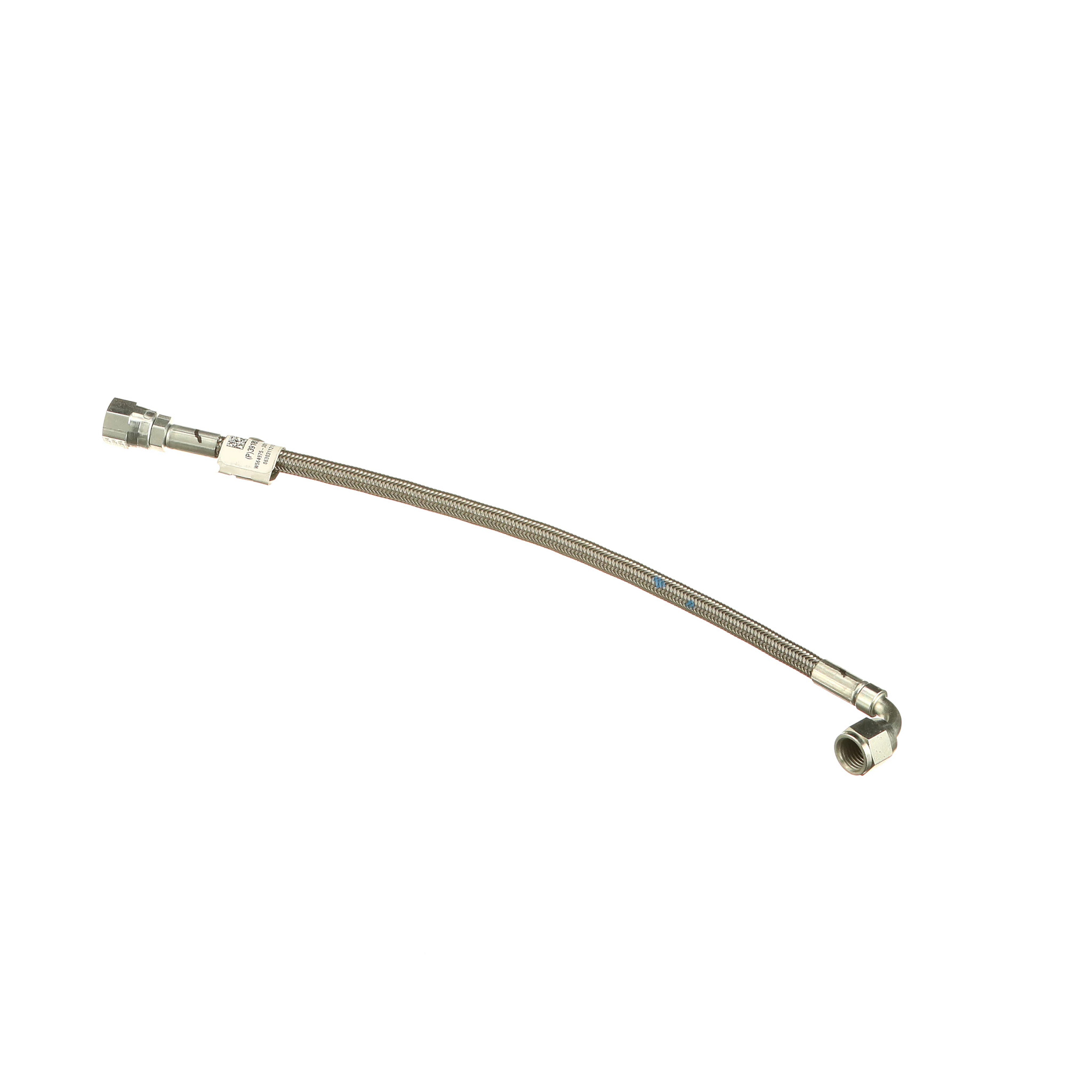 Mangueira | CASECE | BR | PT