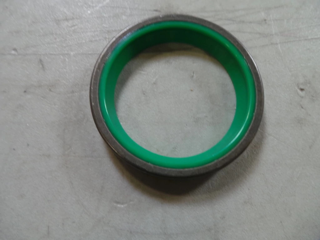 ROD WIPER | CASECE | EU | EN