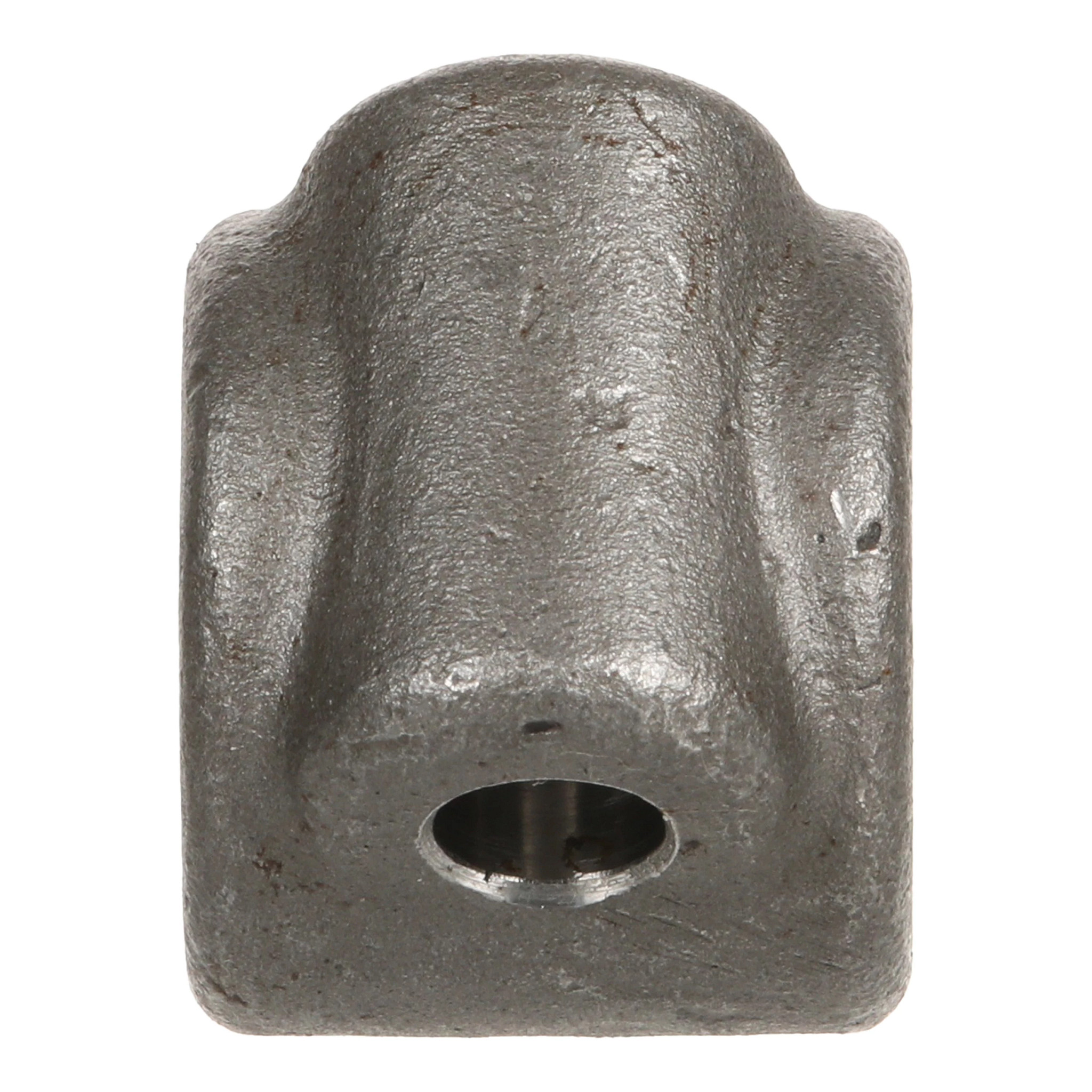 DOG | NEWHOLLANDAG | GB | EN