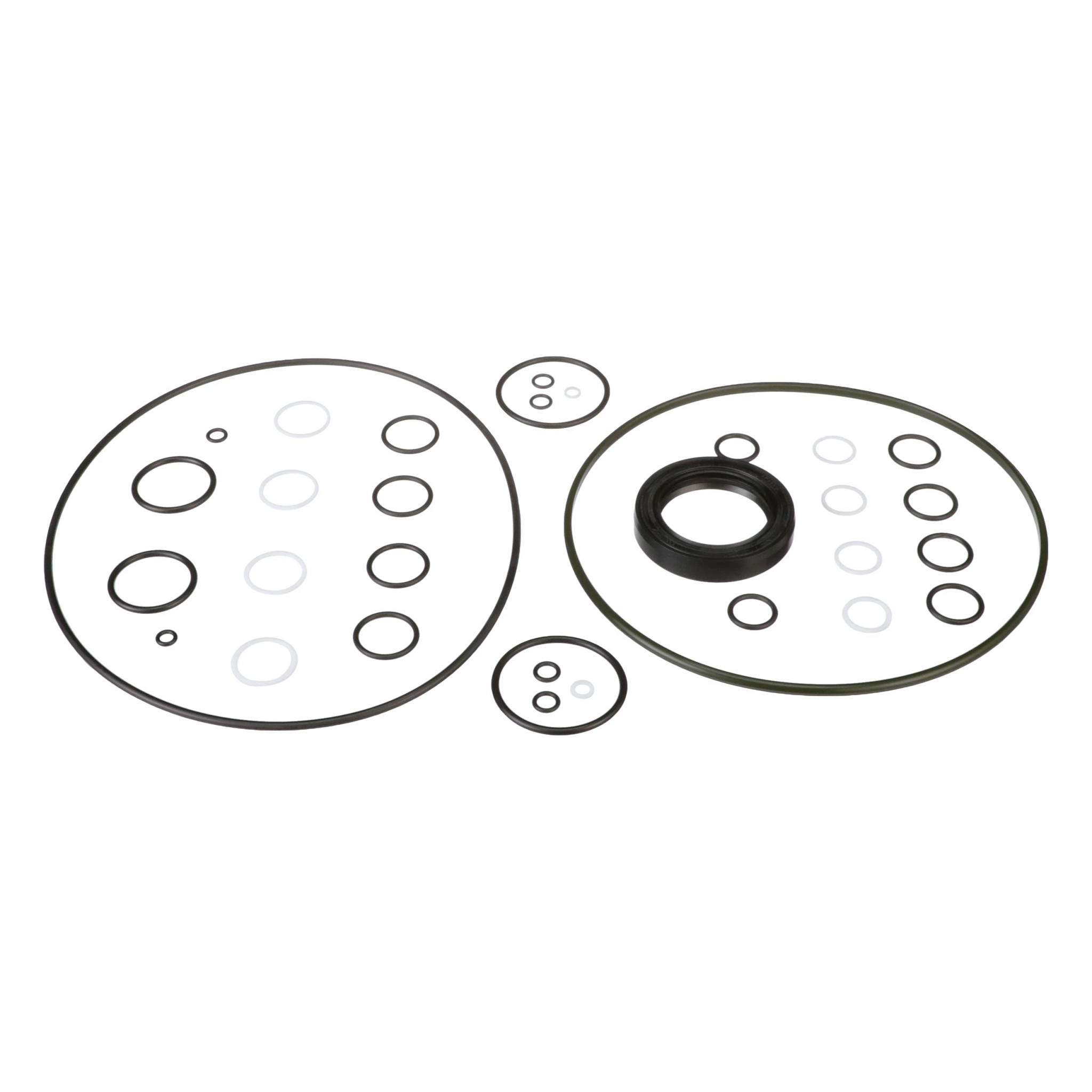 SEAL KIT | CASECE | CA | EN