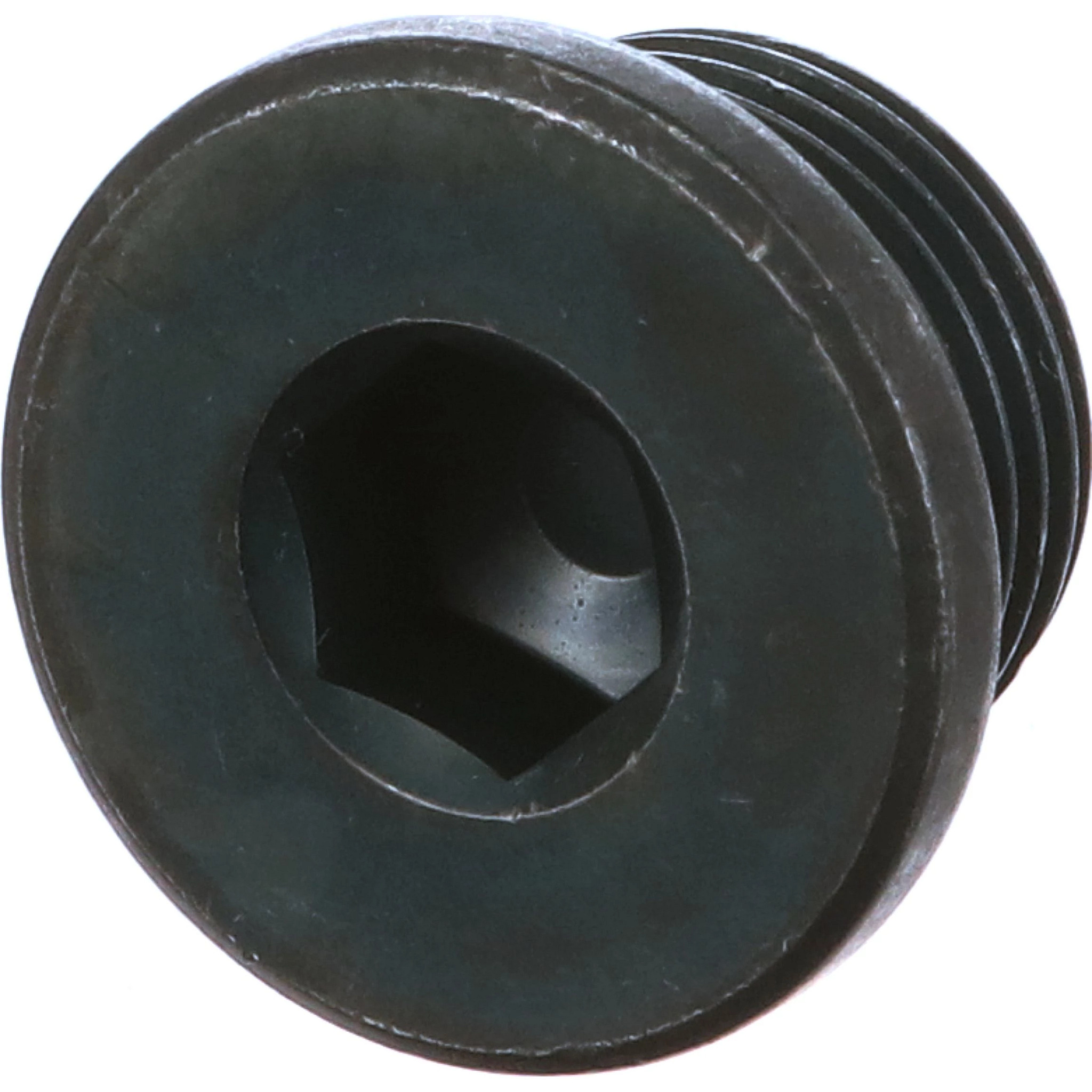 PLUG | CASECE | US | EN