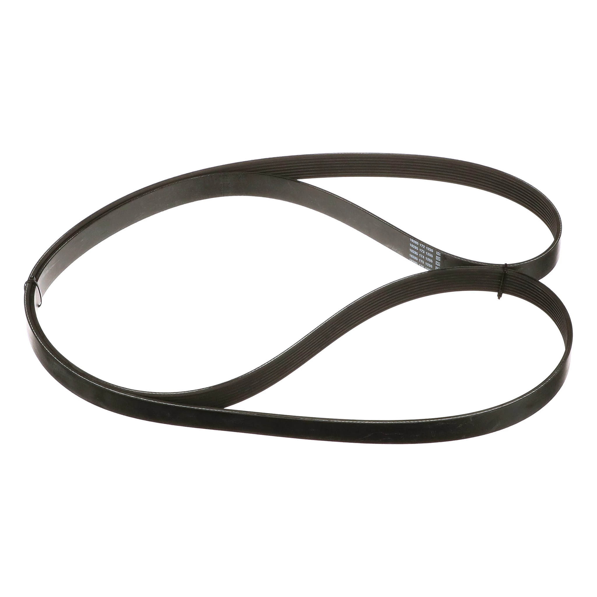 CINGHIA | NEWHOLLANDAG | IT | IT