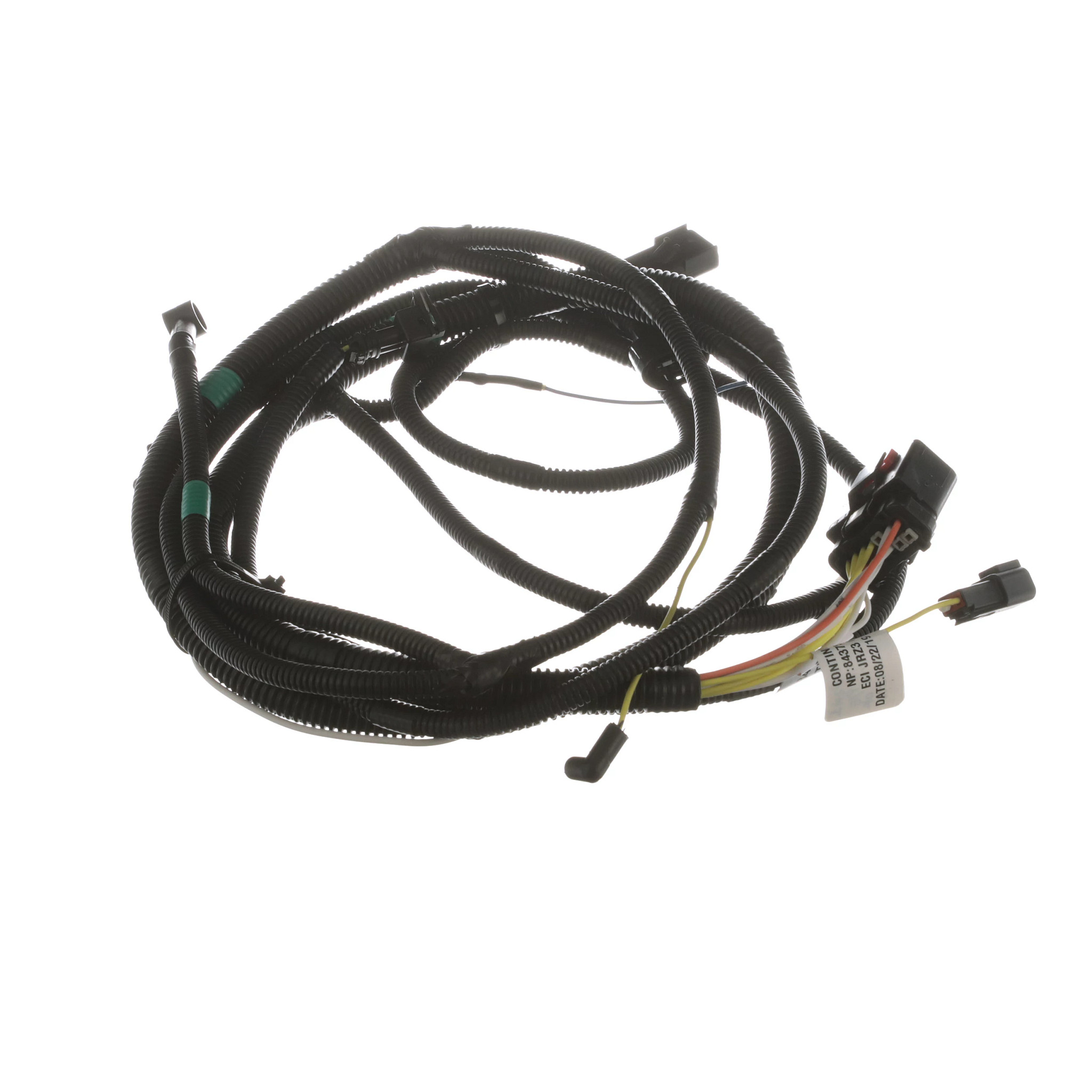 Engine Wire Harness | CASECE | BR | PT