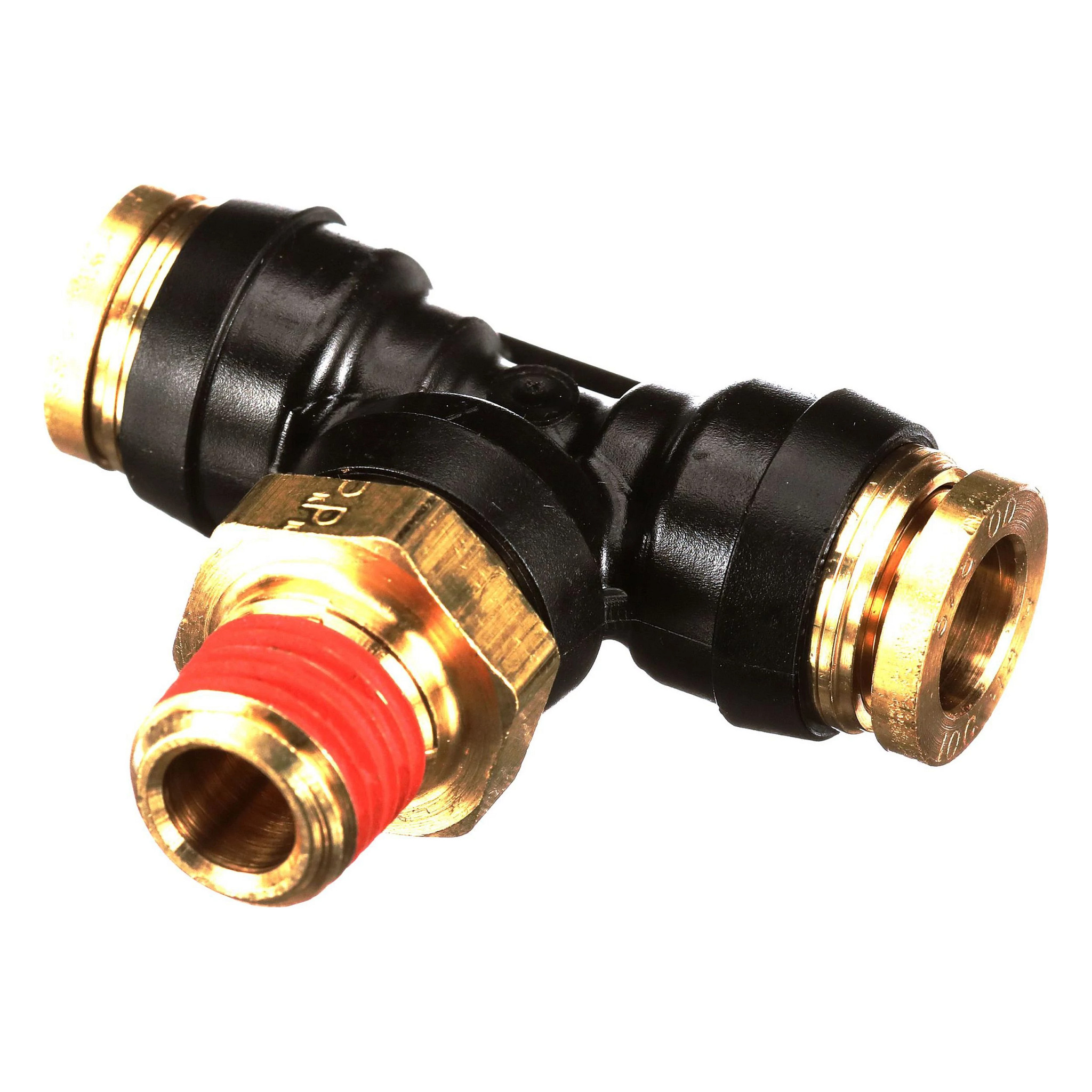 BRANCH TEE | CASECE | CA | EN