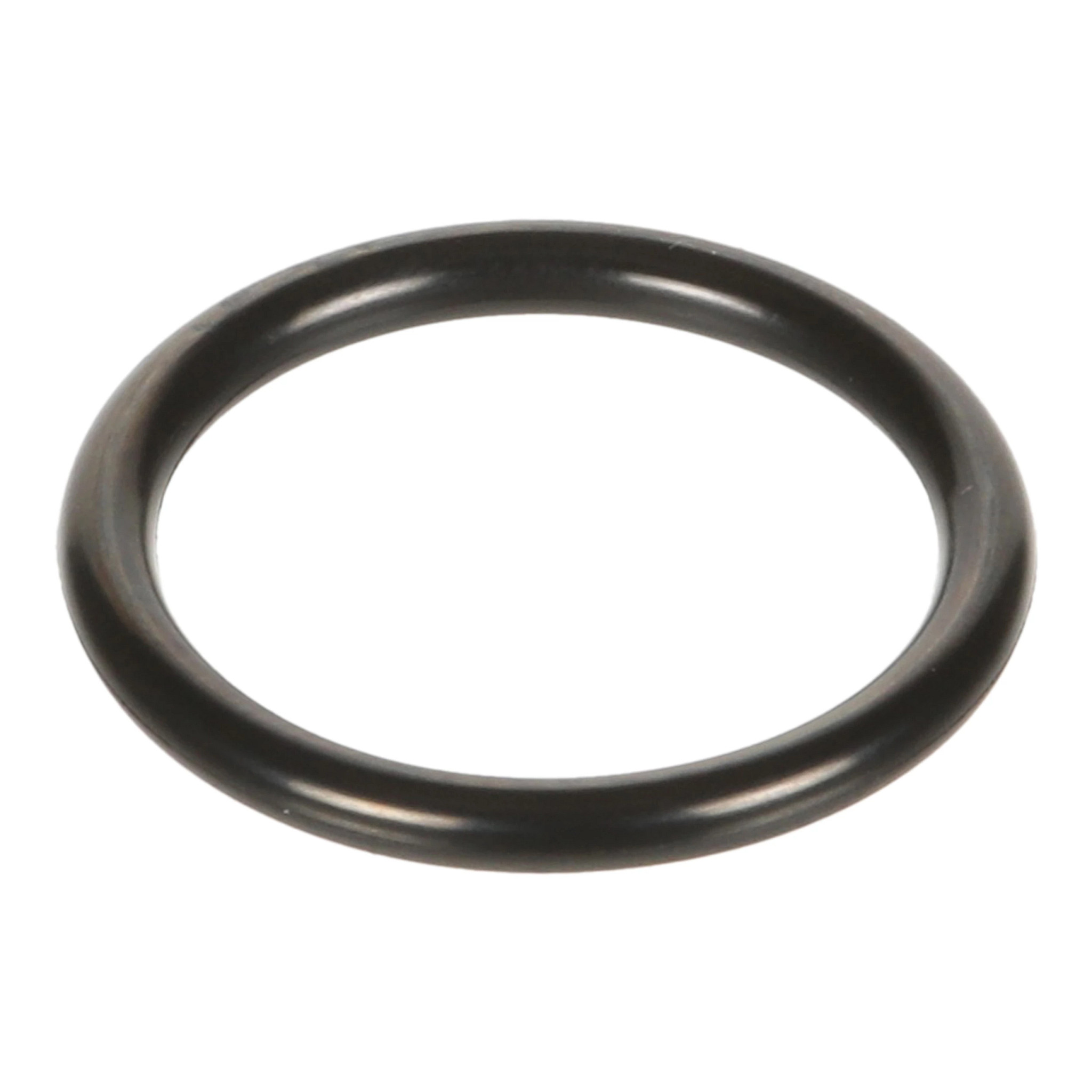 O-RING | CASECE | EU | EN
