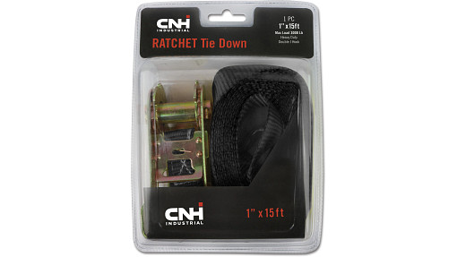 Standard-duty Ratchet Tie Down - 1