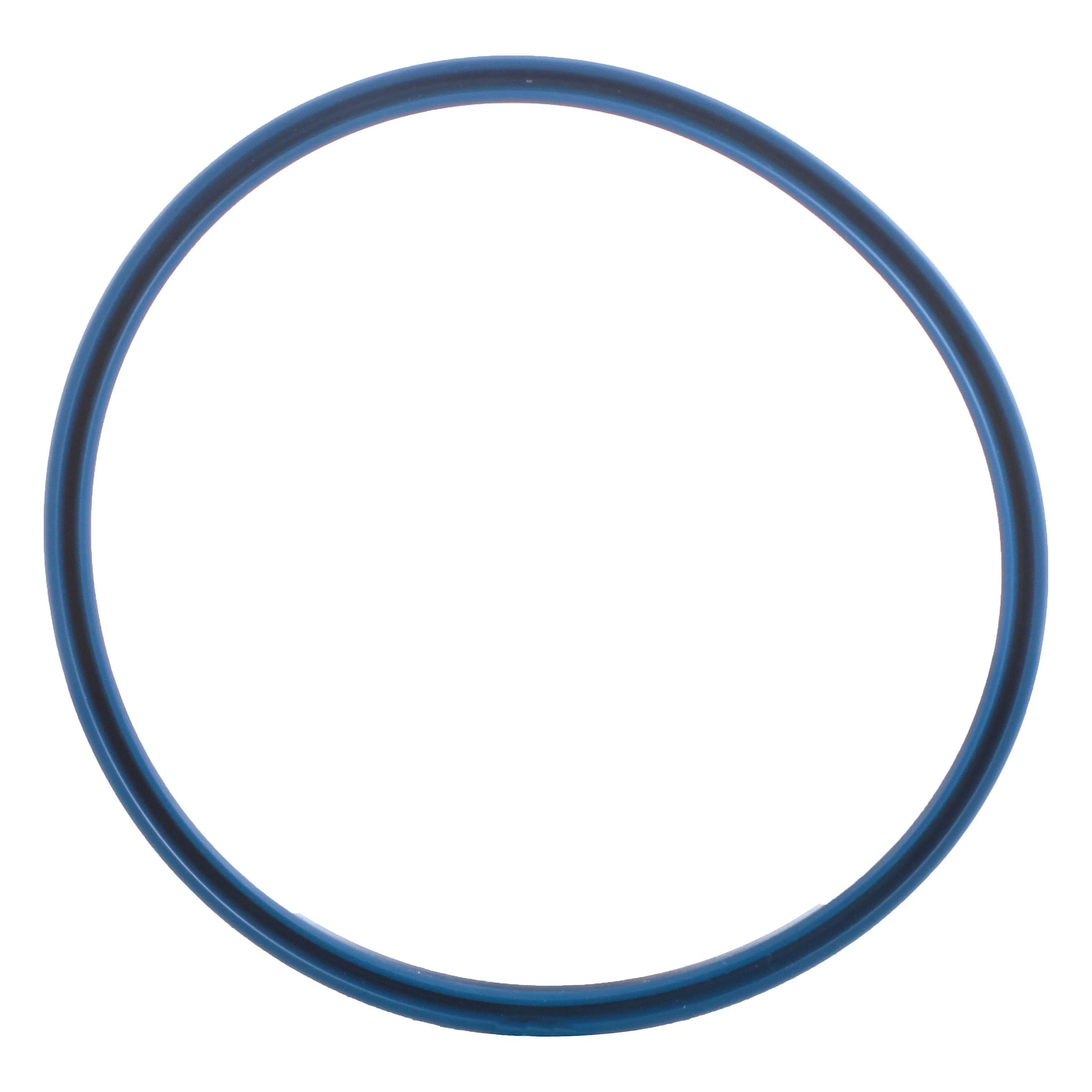 SEAL | CASECE | CA | EN