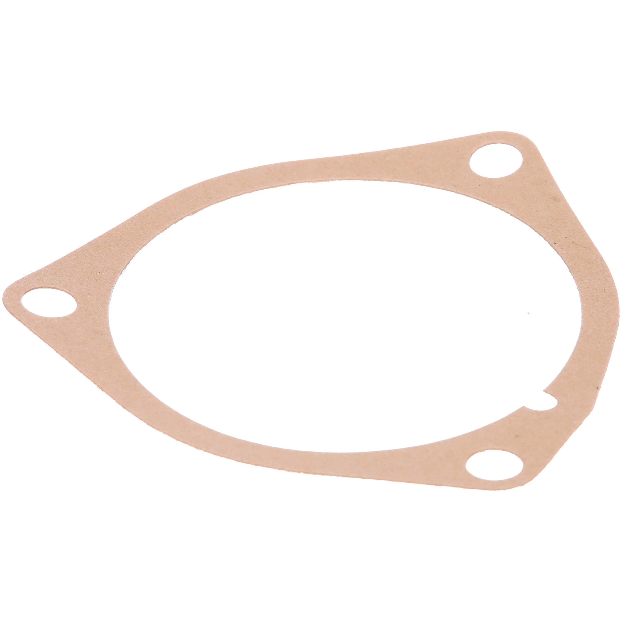 Gasket | CASECE | CA | EN