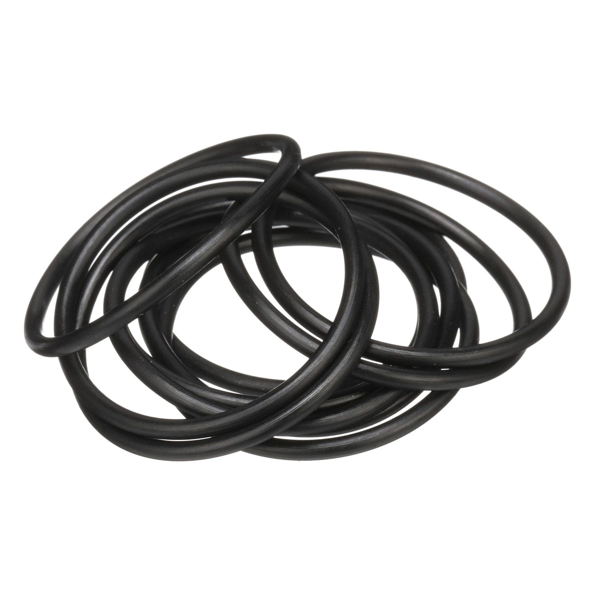 O-RING | CASECE | EU | EN