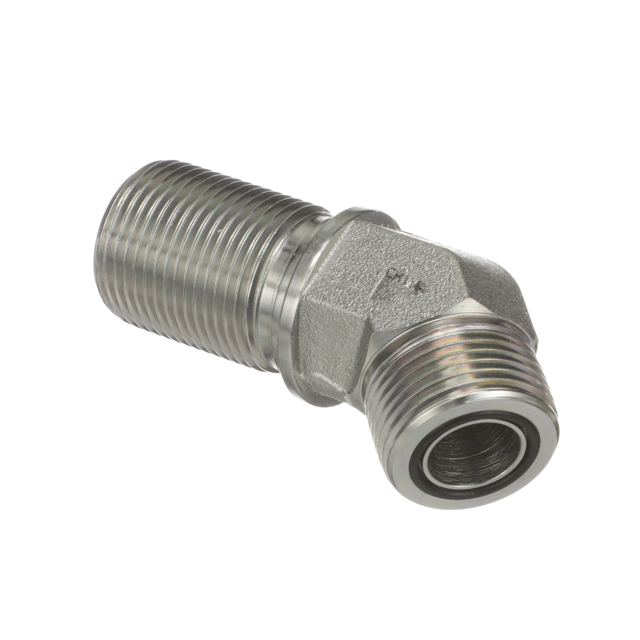 COTOVELO | CASECE | BR | PT