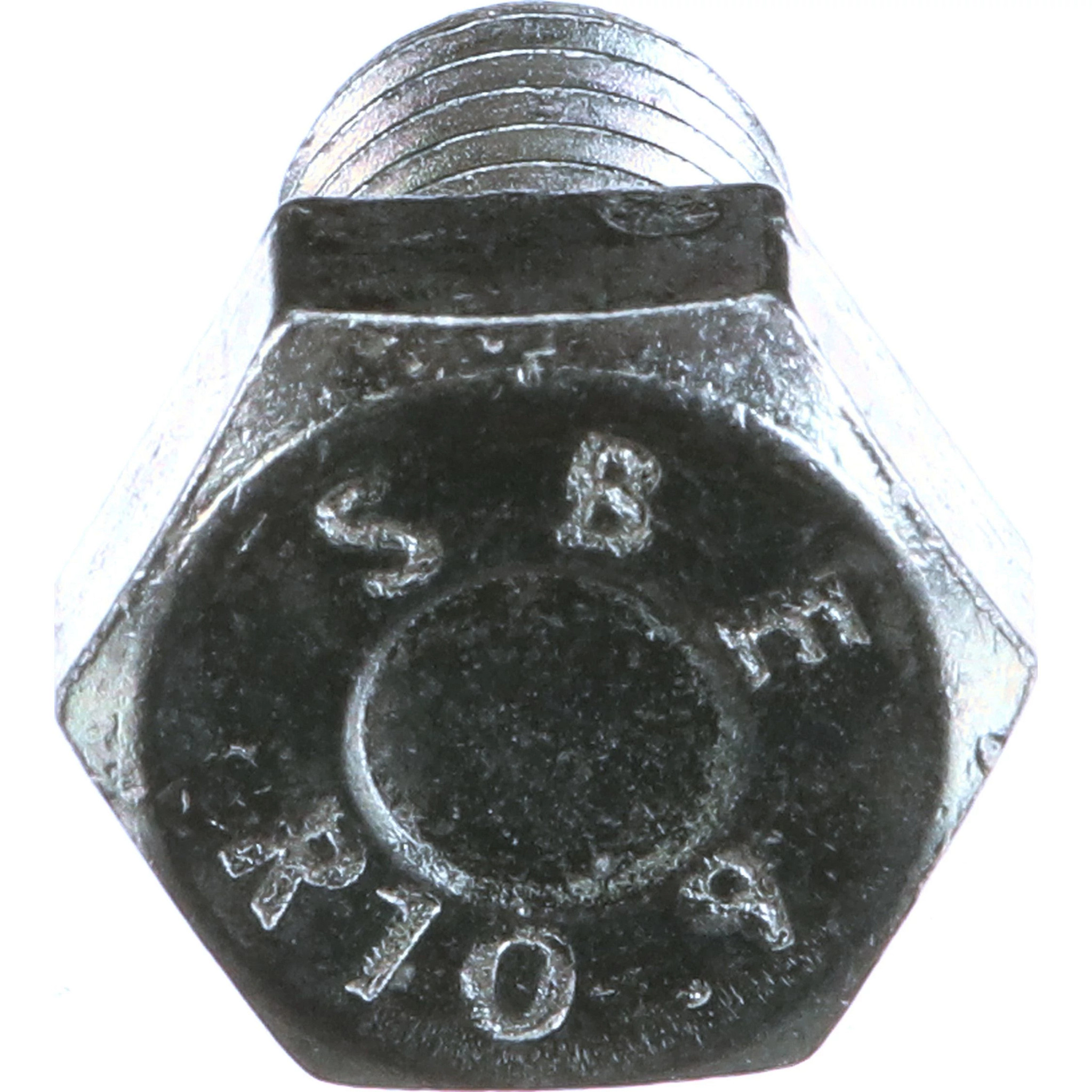 VITE | CASEIH | IT | IT