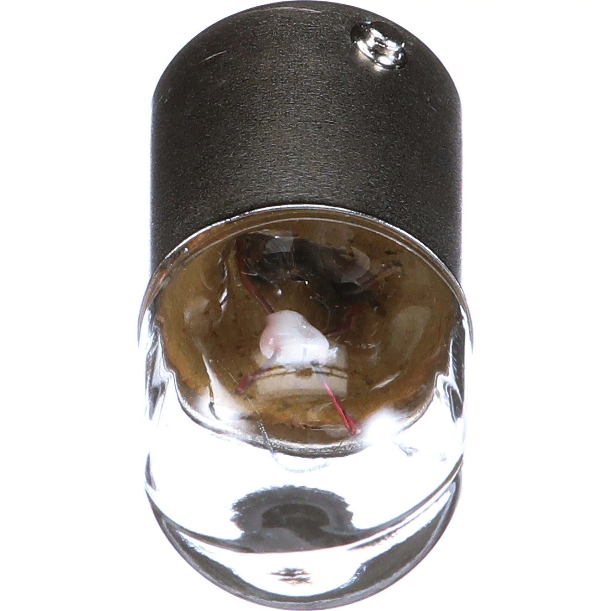 LÂMPADA | CASEIH | EU | PT