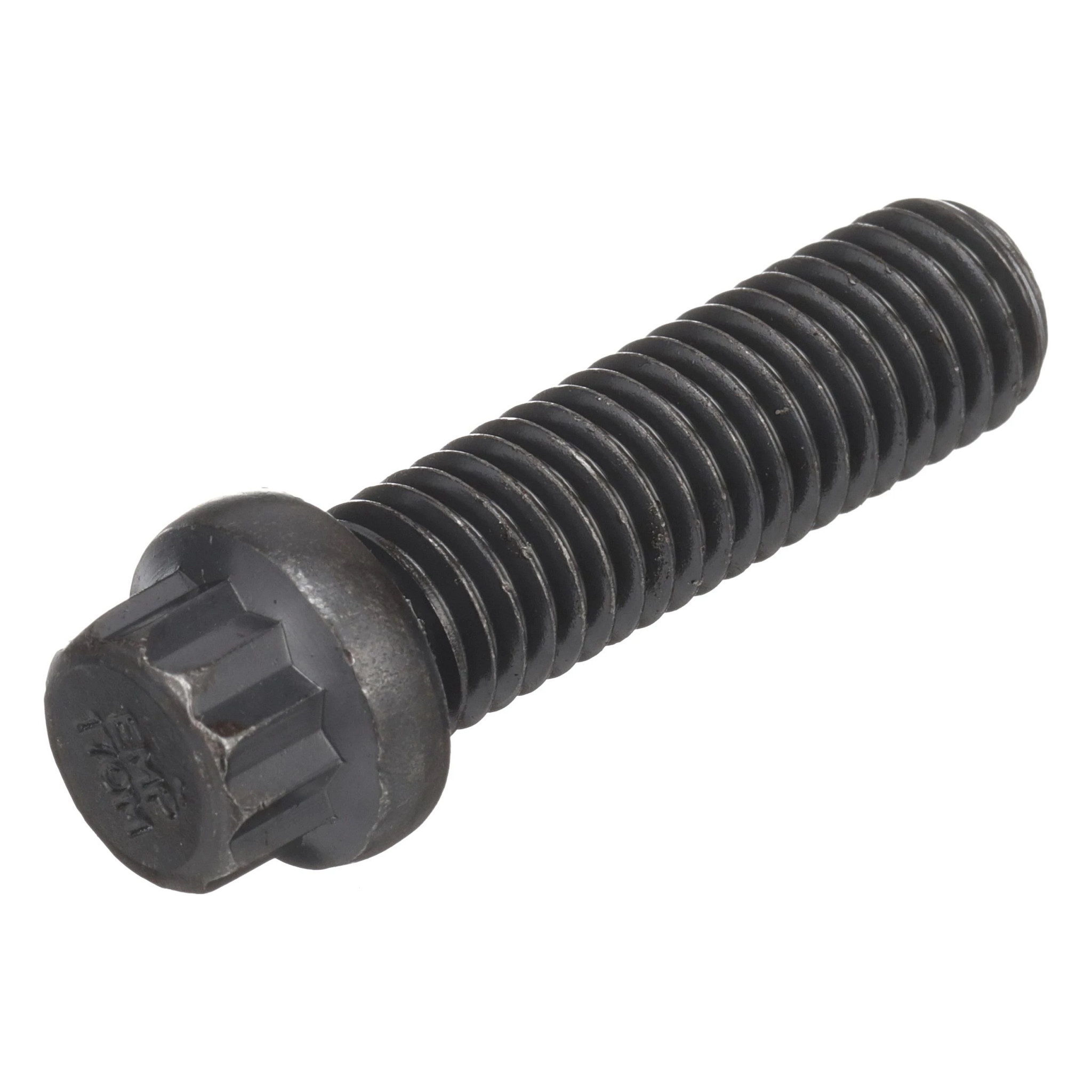 Cap Screw | CASECE | US | EN