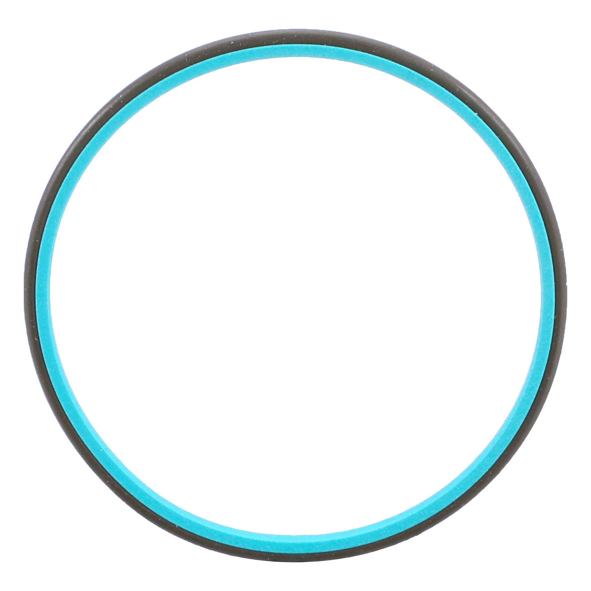 SEALING RING | NEWHOLLANDAG | NZ | EN