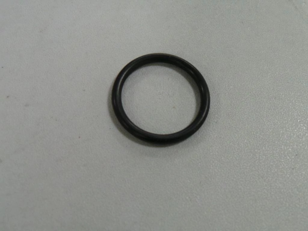 O-RING | CASECE | CA | EN