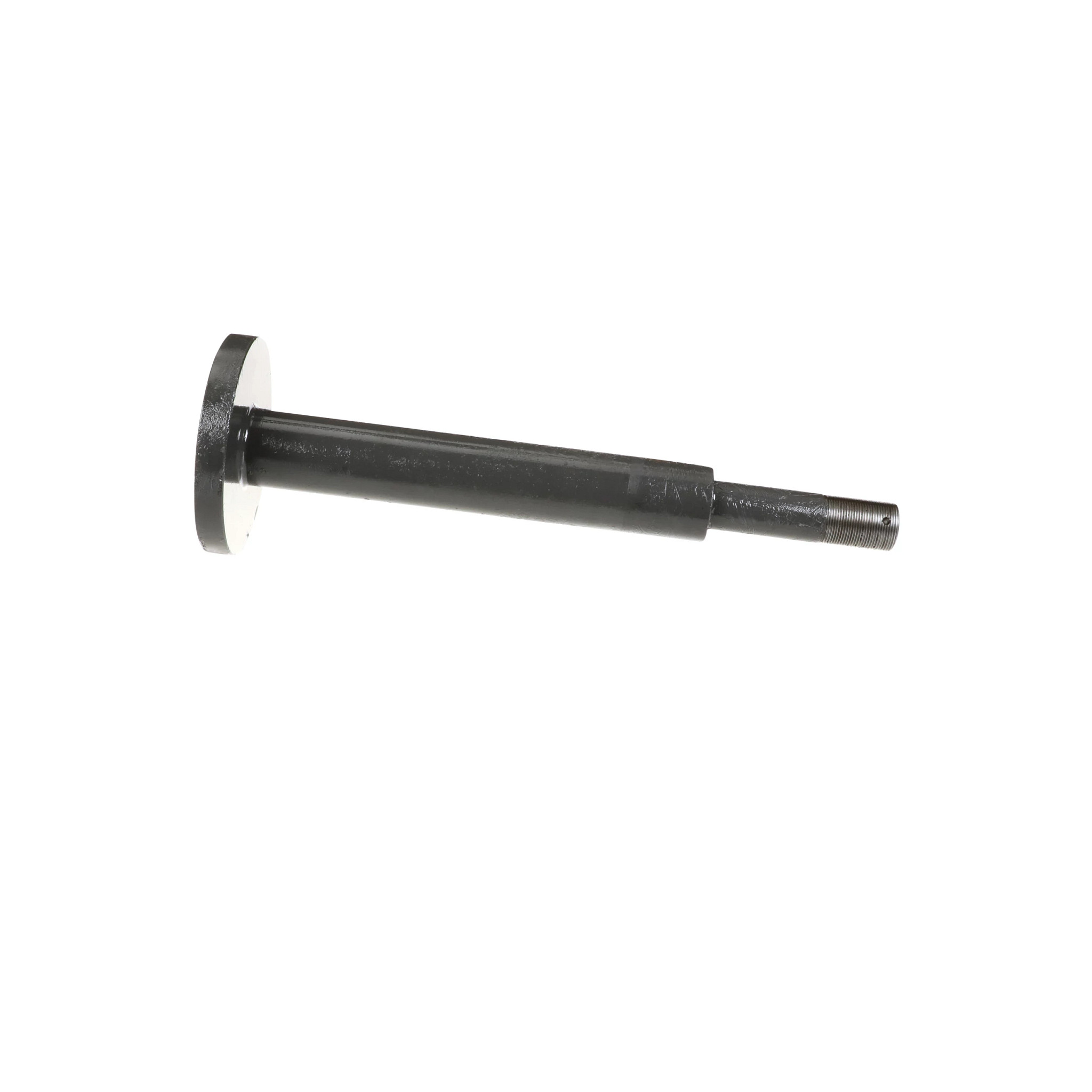 Haste Roscada | CASECE | BR | PT