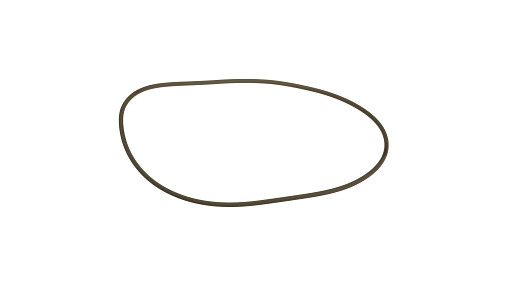 O-RING | NEWHOLLANDCE | EU | RU