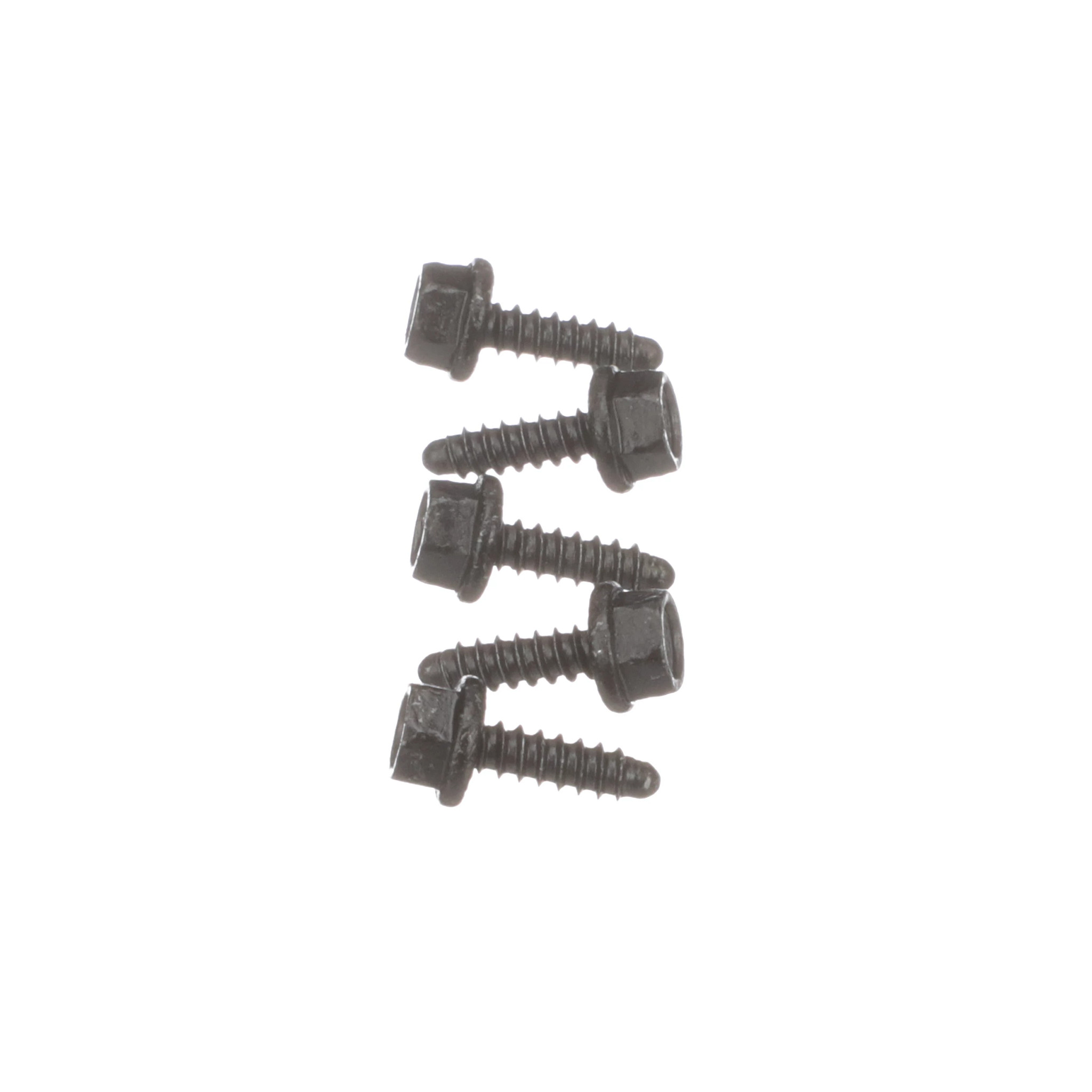 PARAFUSO | CASECE | EU | PT