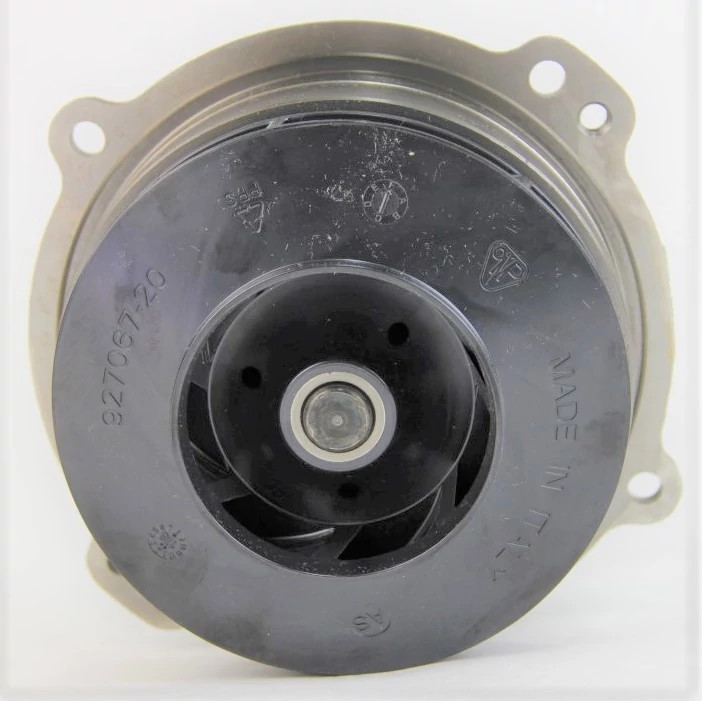 POMPE A EAU RENOVEE | CASECE | EU | EN