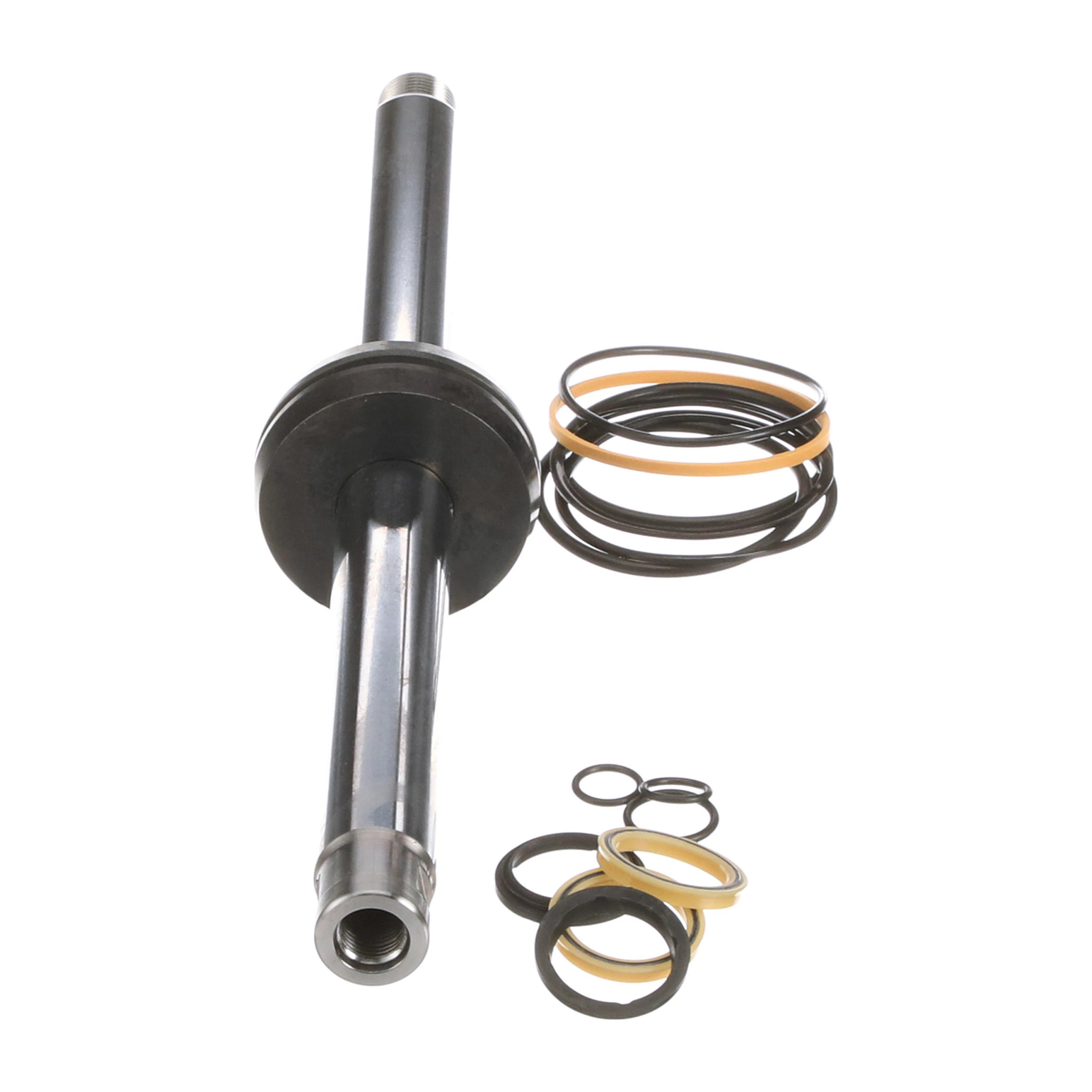 ROD | CASECE | US | EN