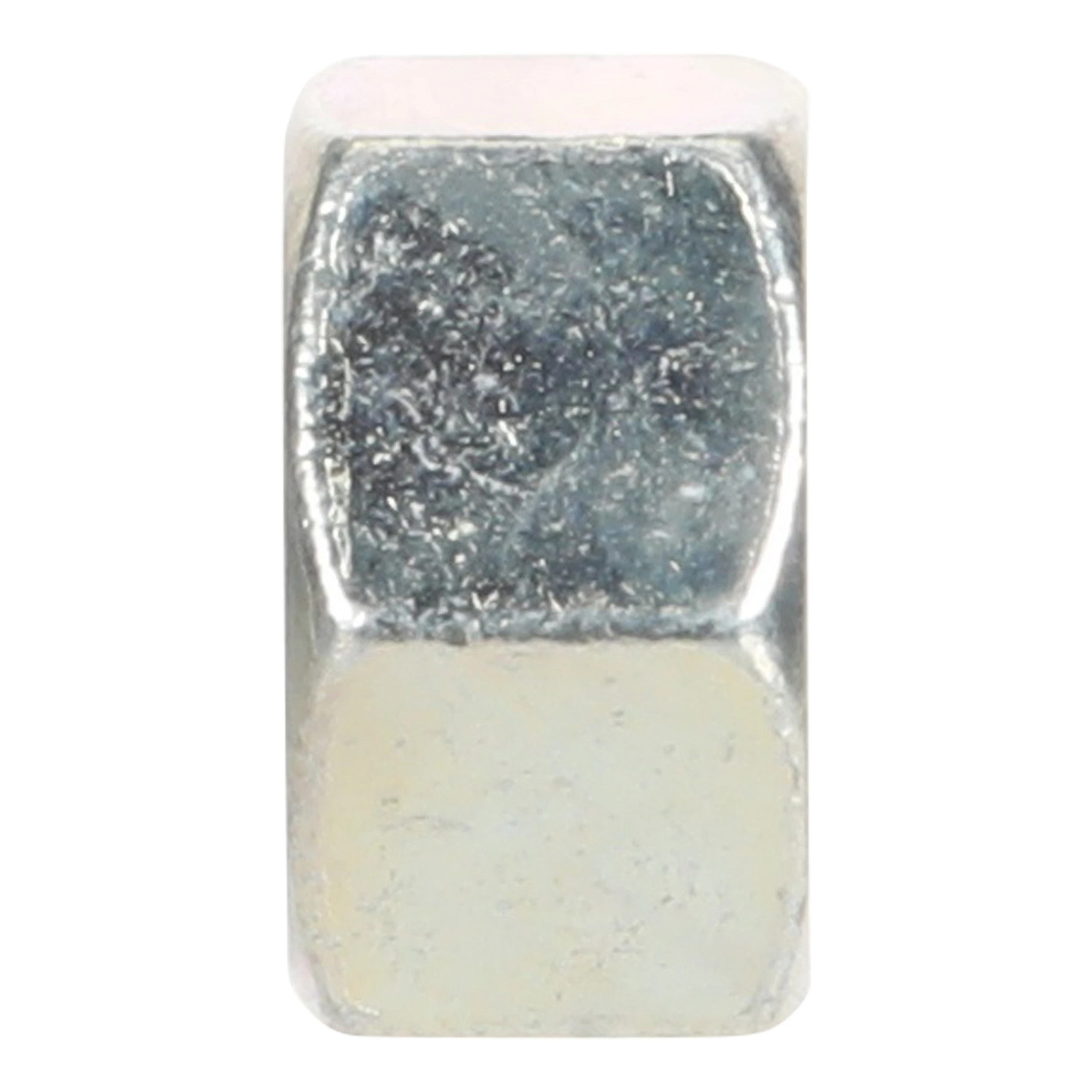 NUT | CASECE | SA | EN