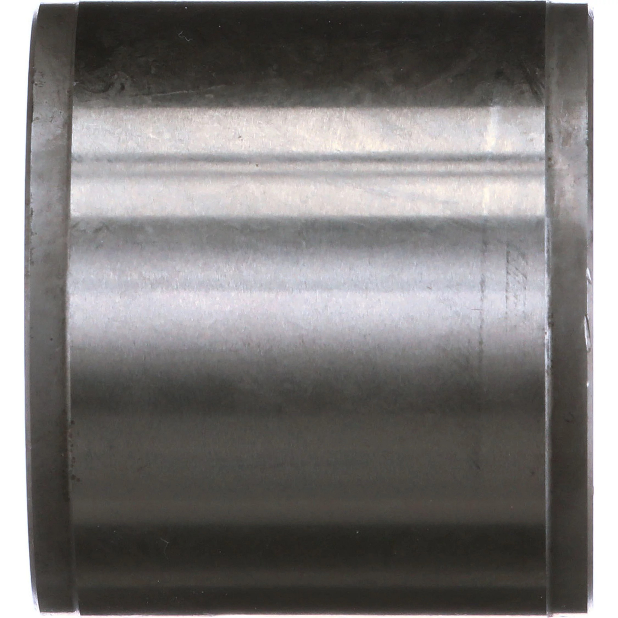 BUCHSE | NEWHOLLANDAG | DE | DE