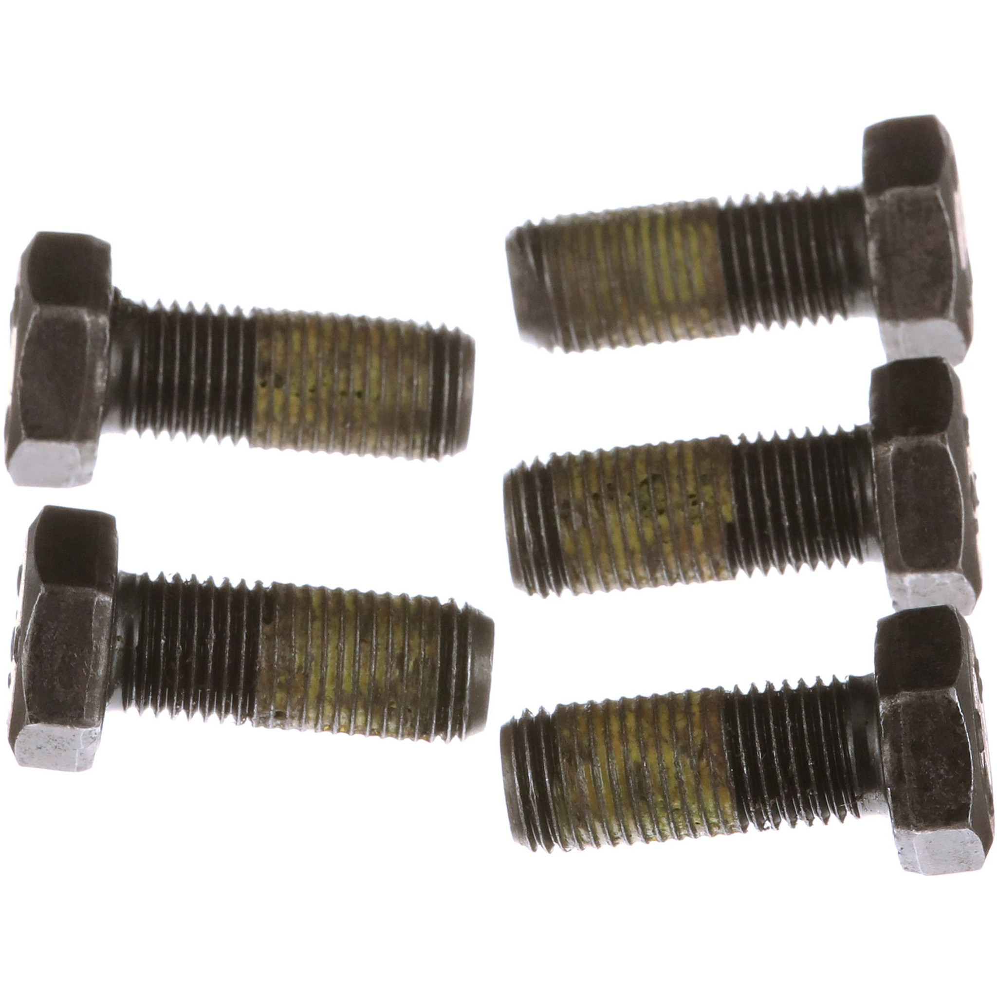 PARAFUSO | CASECE | EU | FR