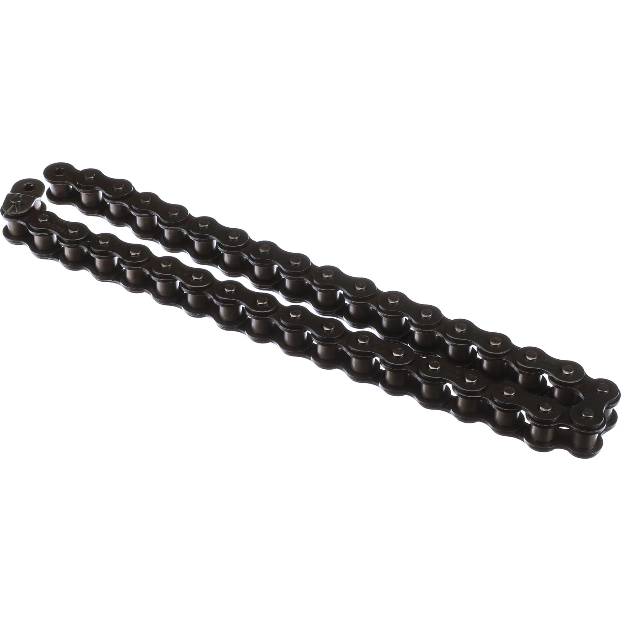 ANSI Premium Precision Roller Chain | CASEIH | US | EN
