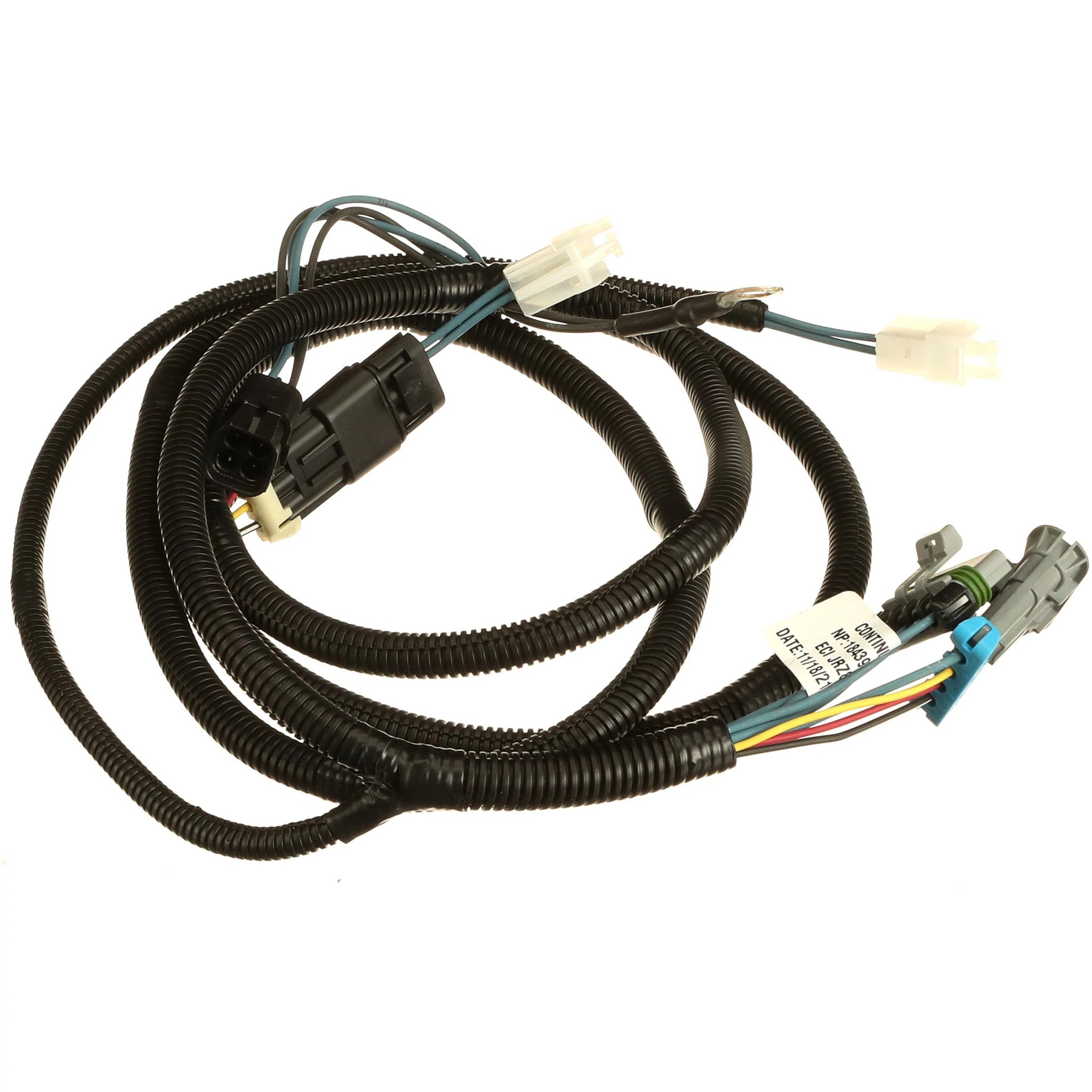 HARNESS | CASECE | NZ | EN