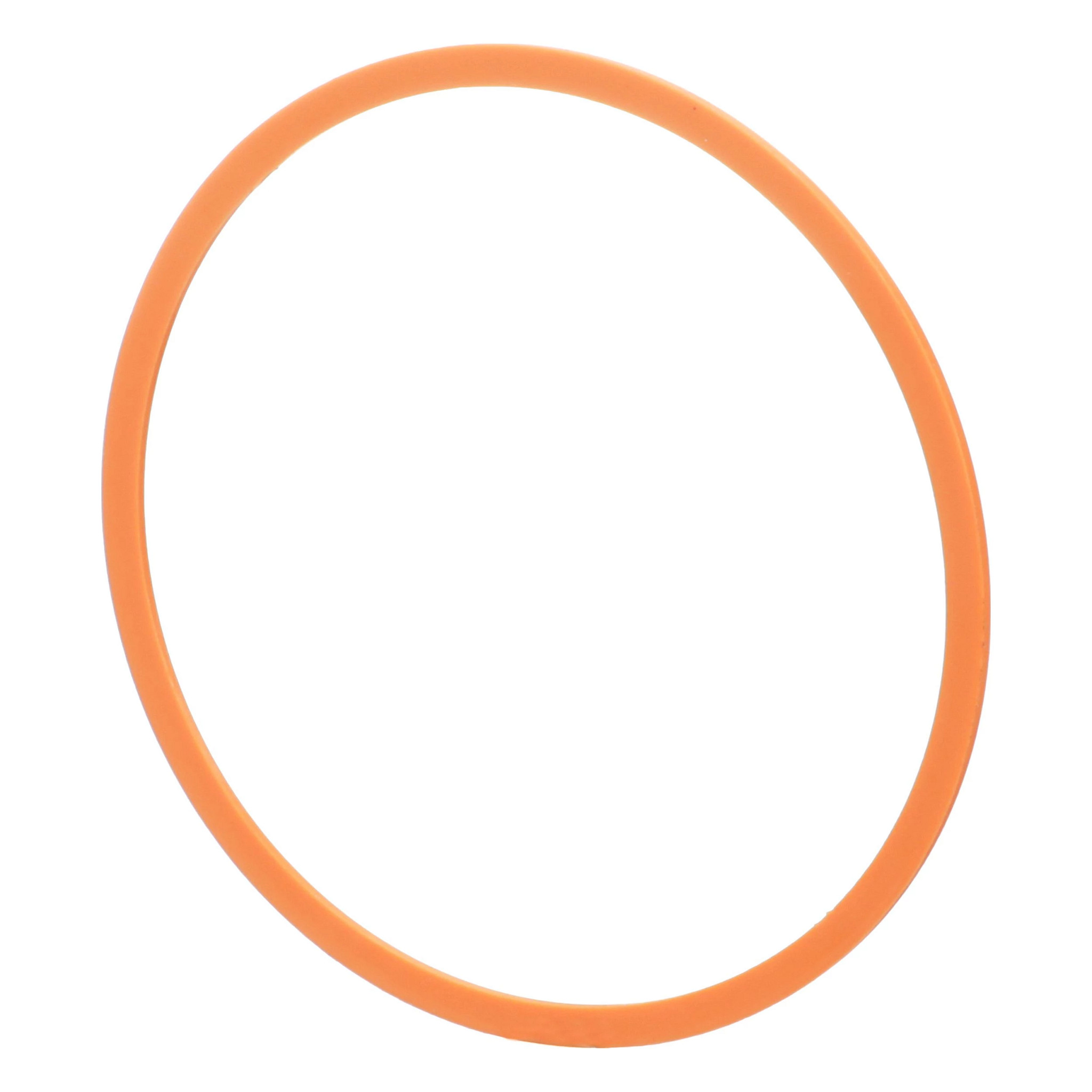 BAGUE ANTI-EXTRUSION | CASEIH | EU | FR