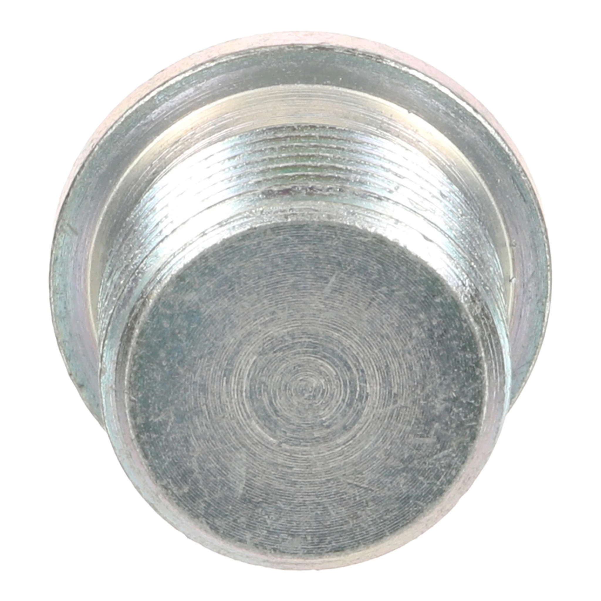 PLUG | CASECE | CA | EN