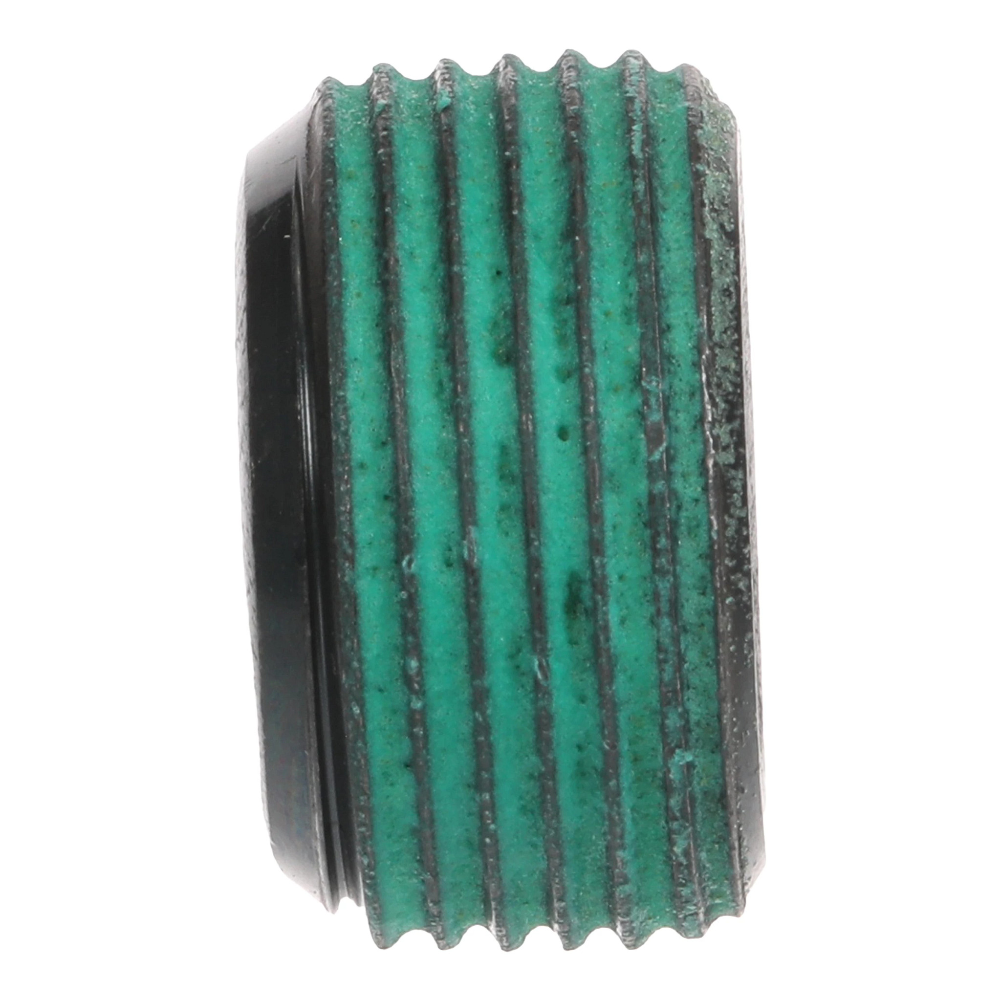 PLUG | CASECE | CA | EN