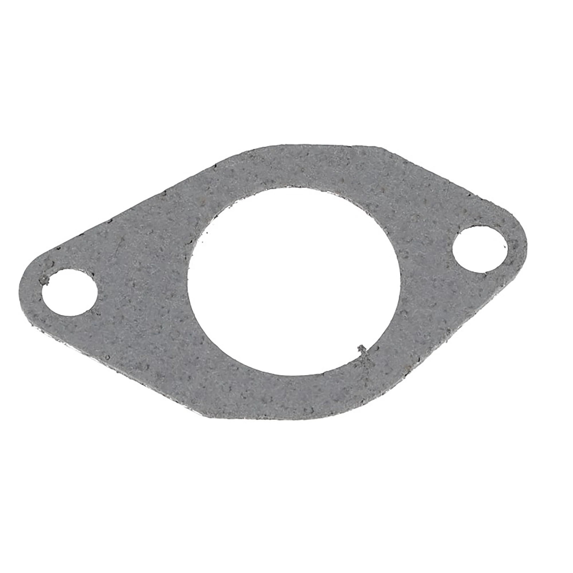 Exhaust Elbow Gasket - 174059FP