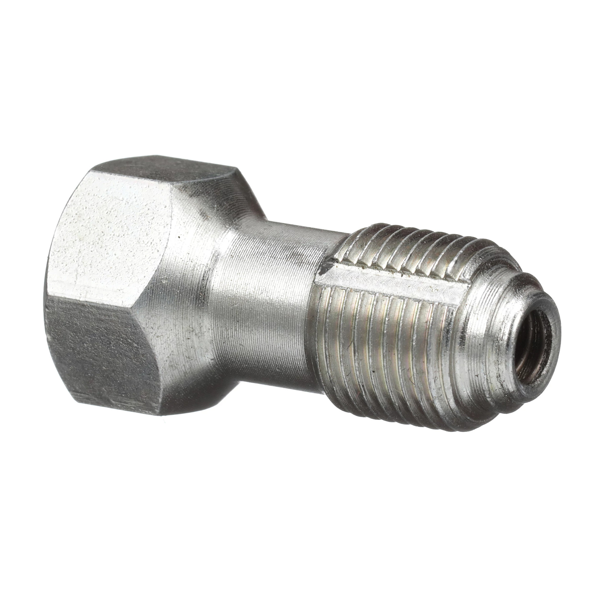 CONEXÃO | CASECE | BR | PT