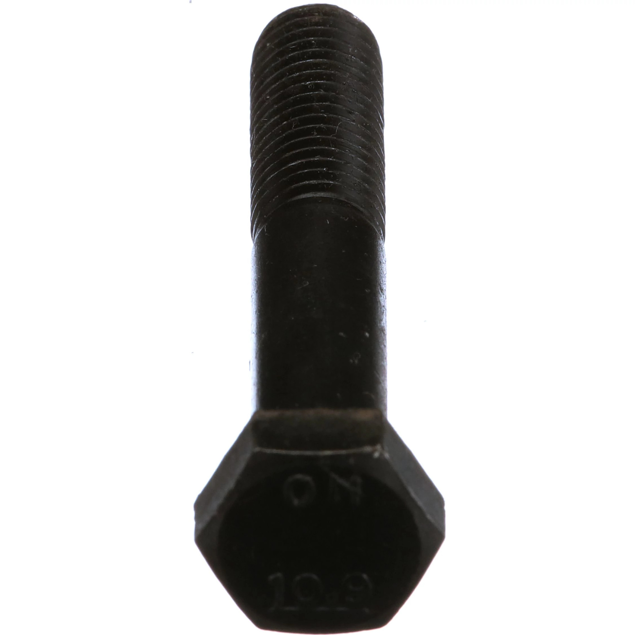 BOLT | NEWHOLLANDCE | AMEA | EN