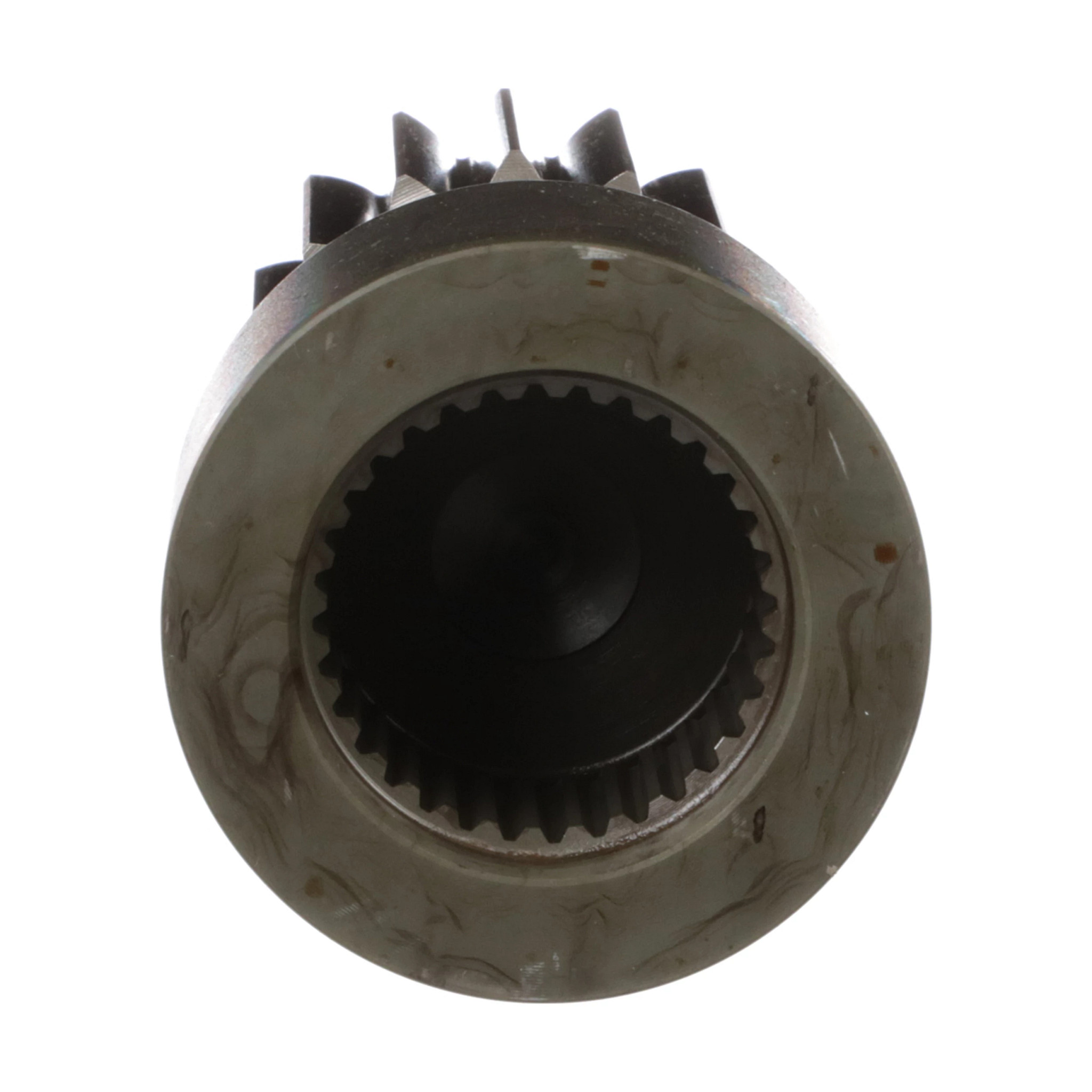 PIGNON SOLAIRE | CASECE | CA | FR