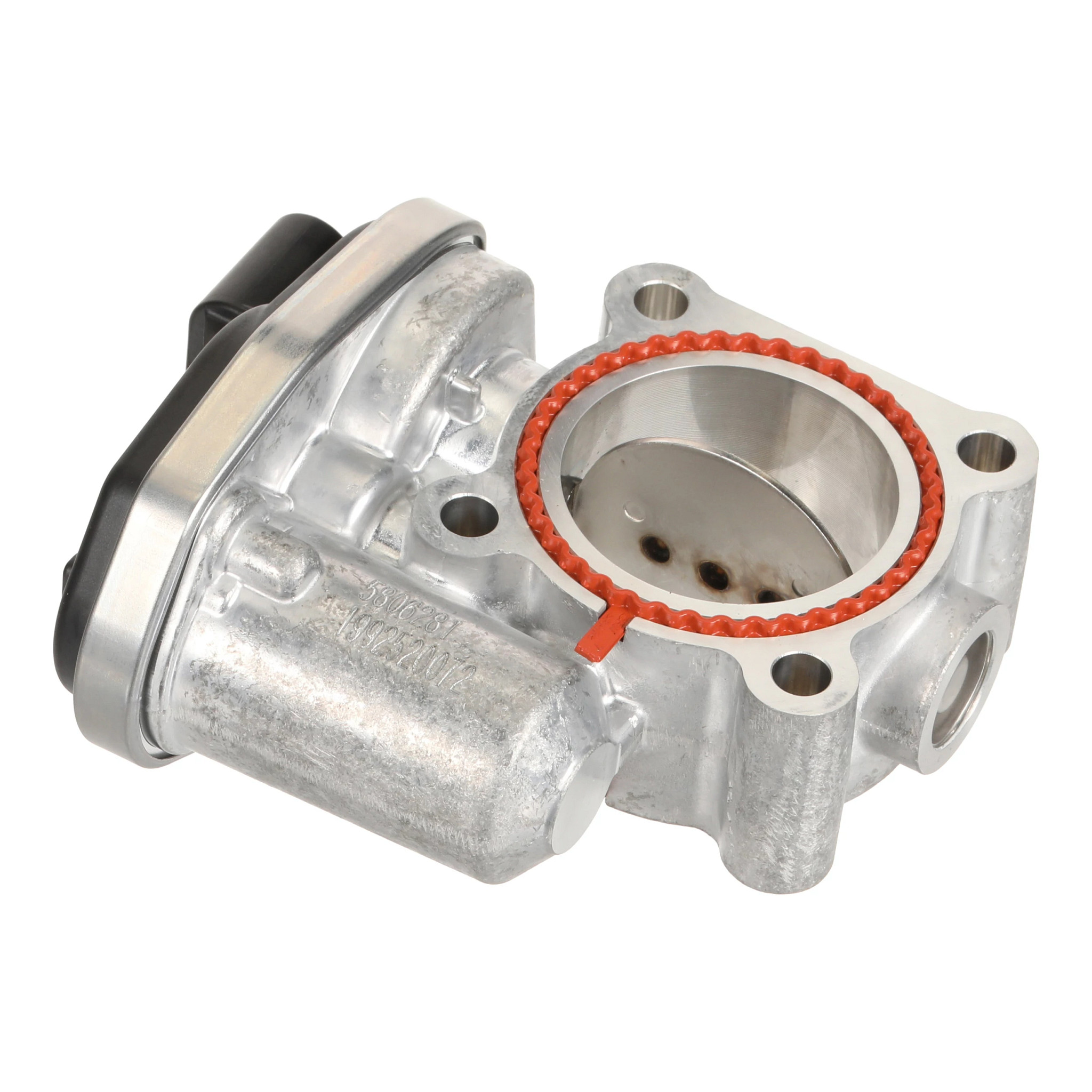 Papillon Des Gaz | CASECE | CA | FR