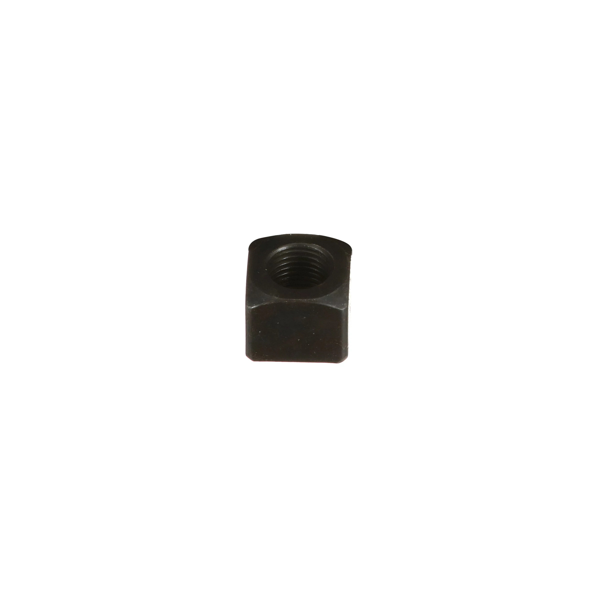 NUT | CASECE | CA | EN