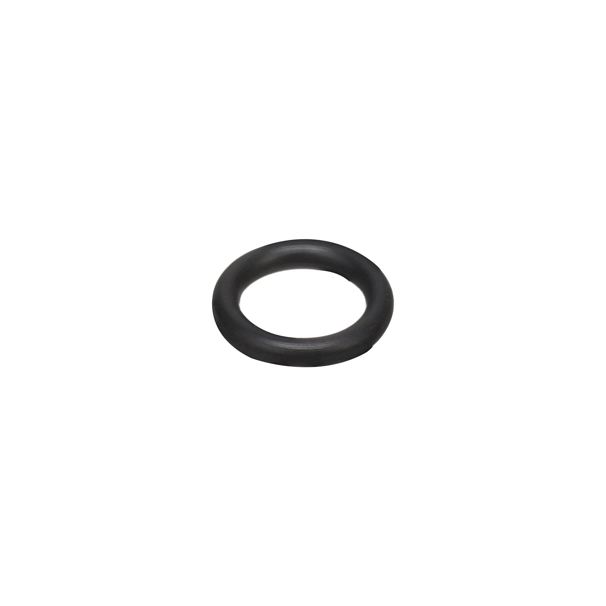 O-RING | CASECE | ANZ | EN