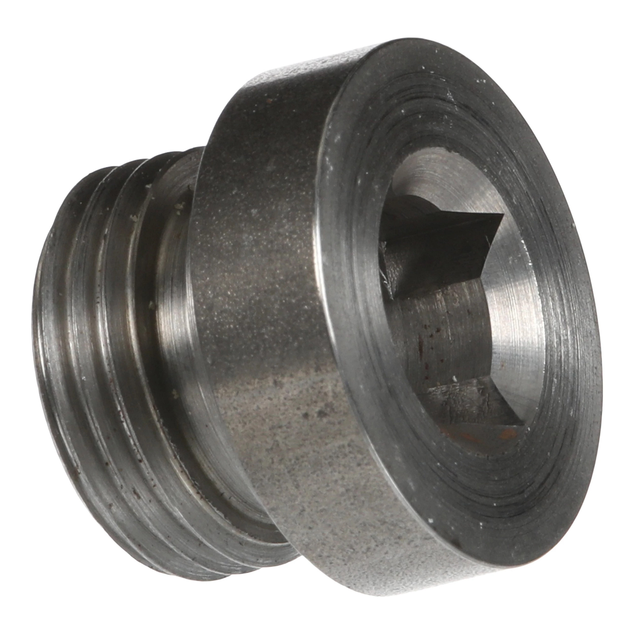 Plug | CASECE | CA | EN