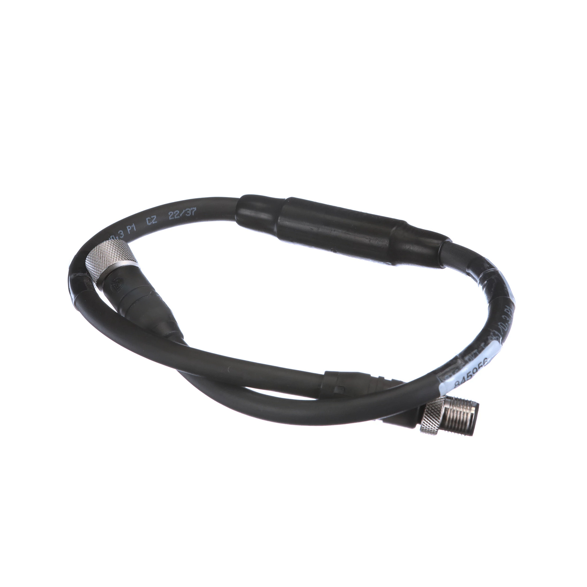 Chicote | CASECE | BR | PT