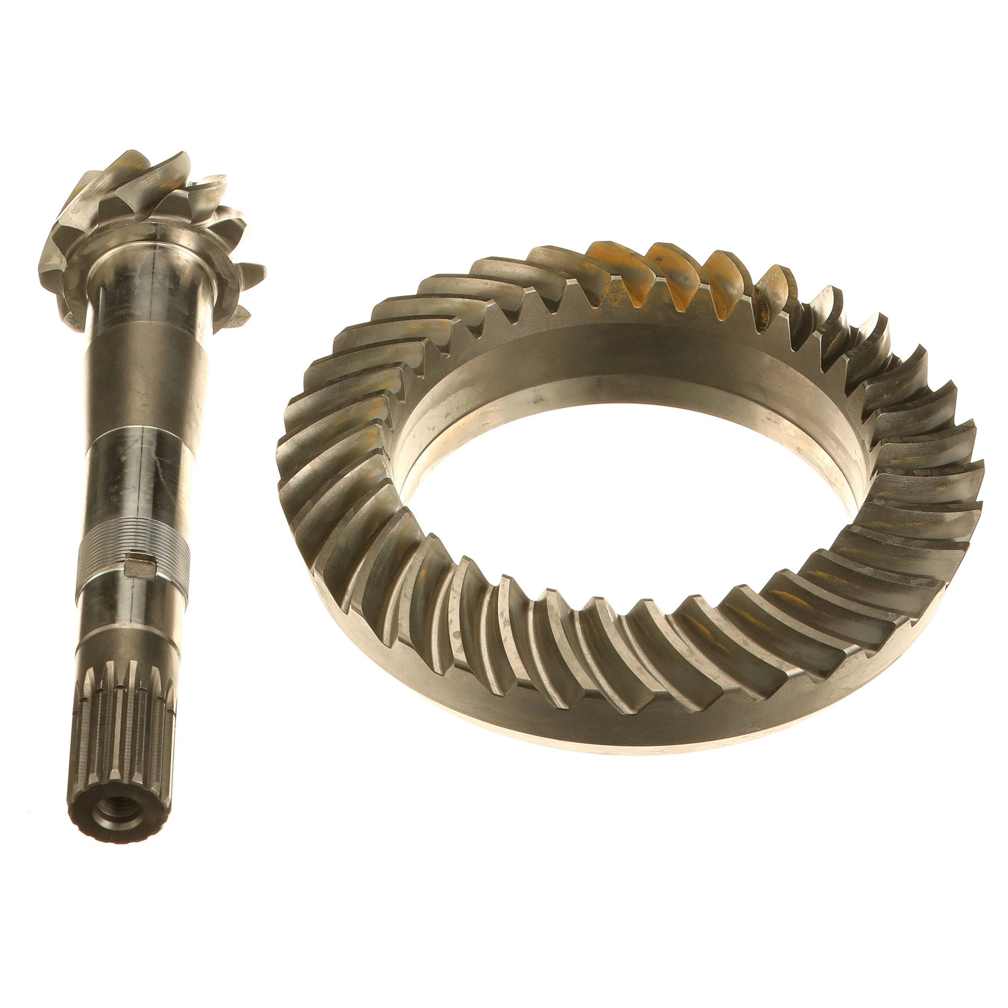 PIGNON CONIQUE | NEWHOLLANDAG | CA | FR