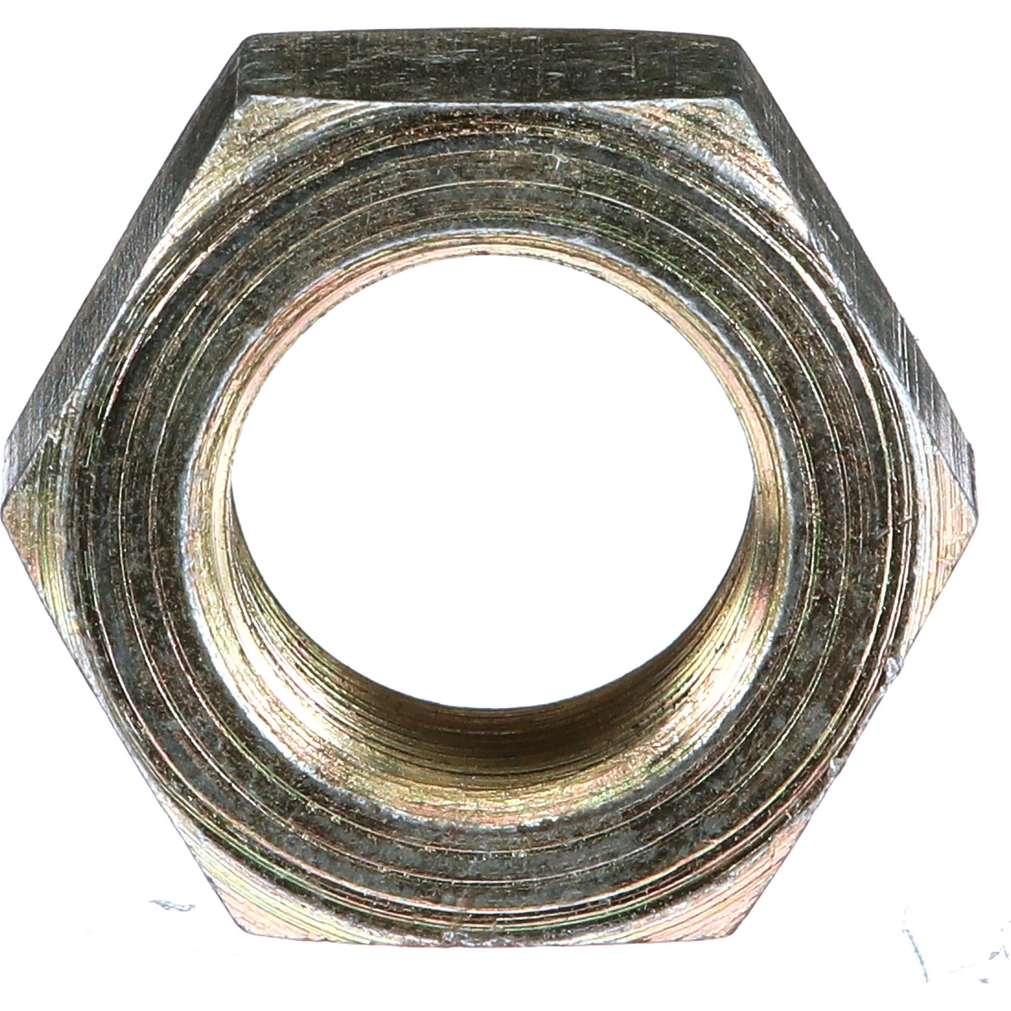 NUT | CASEIH | EU | IT