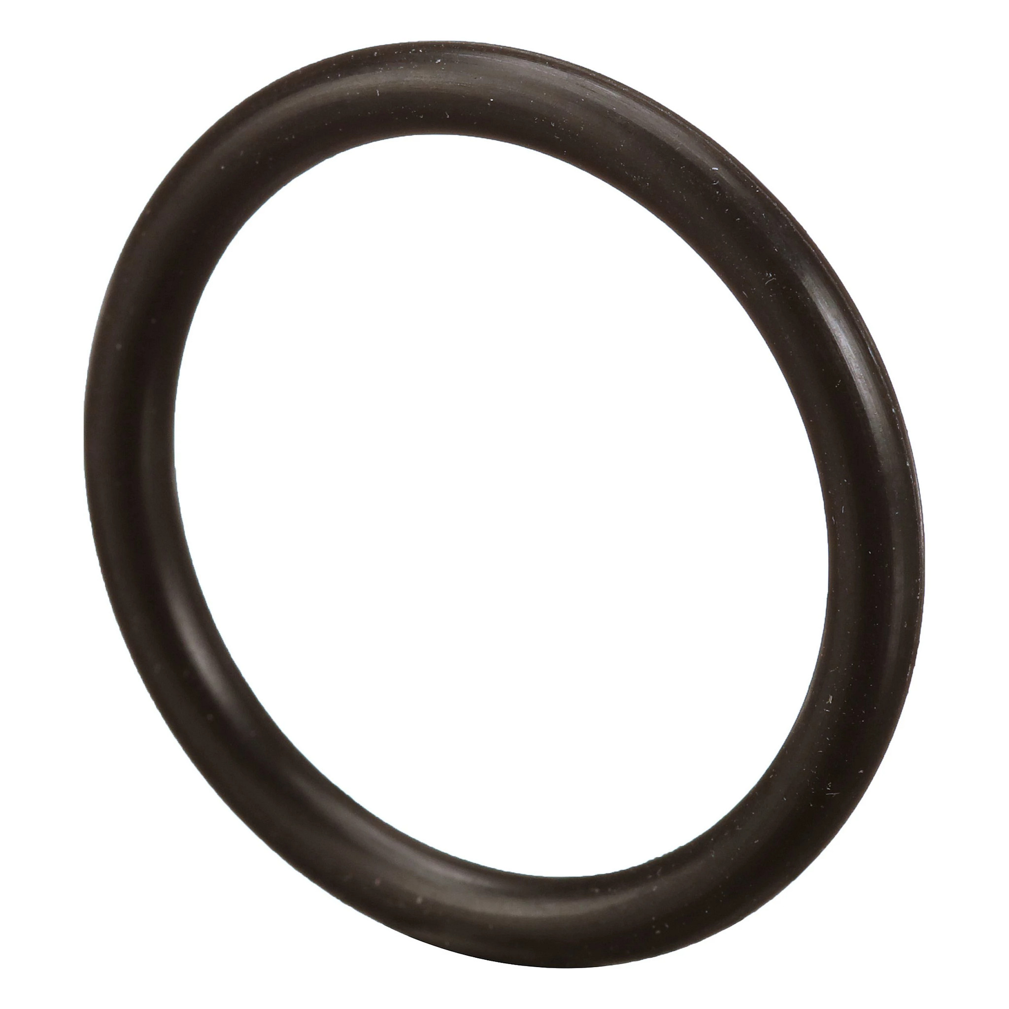 O-RING | CASECE | EU | EN