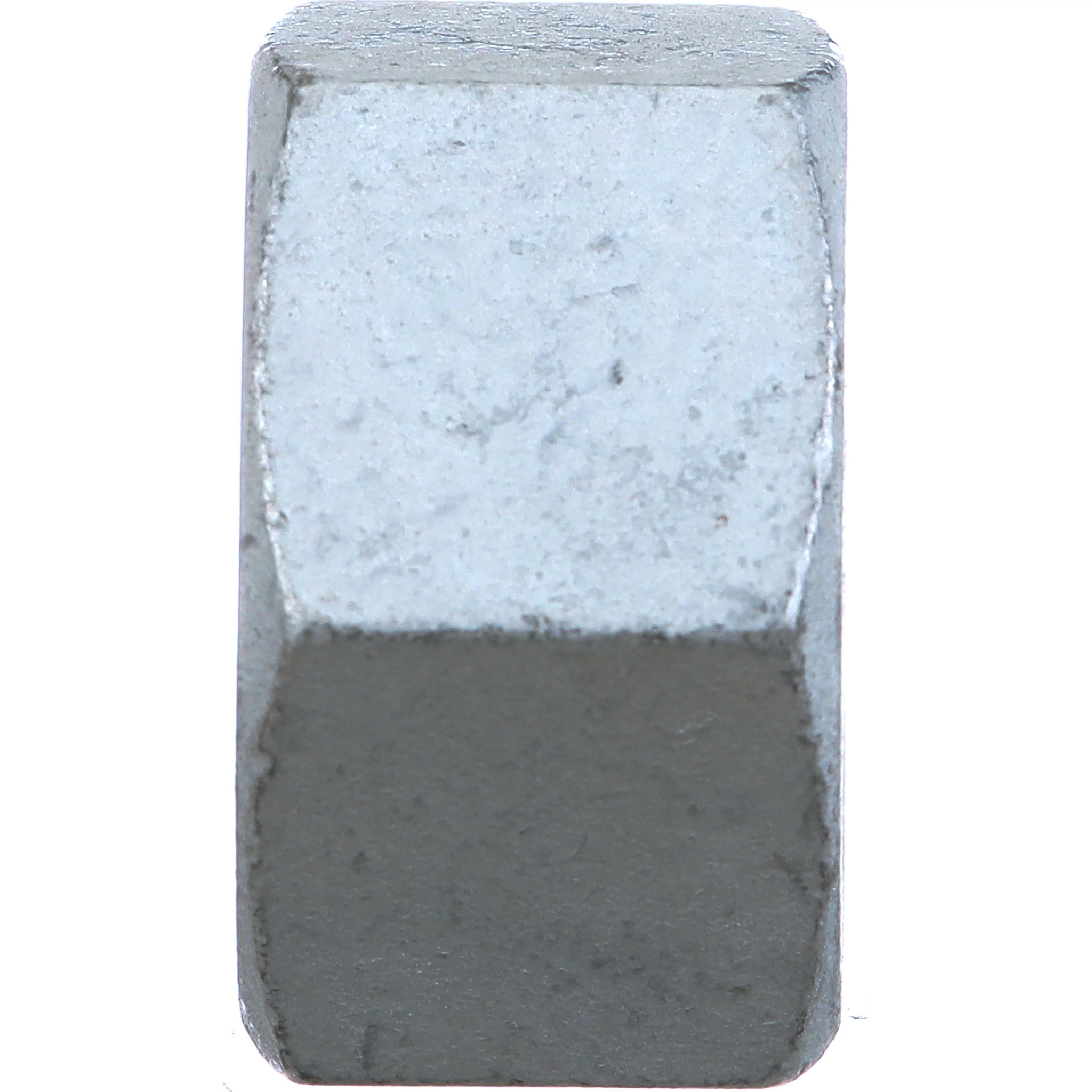 NUT | NEWHOLLANDAG | CA | EN