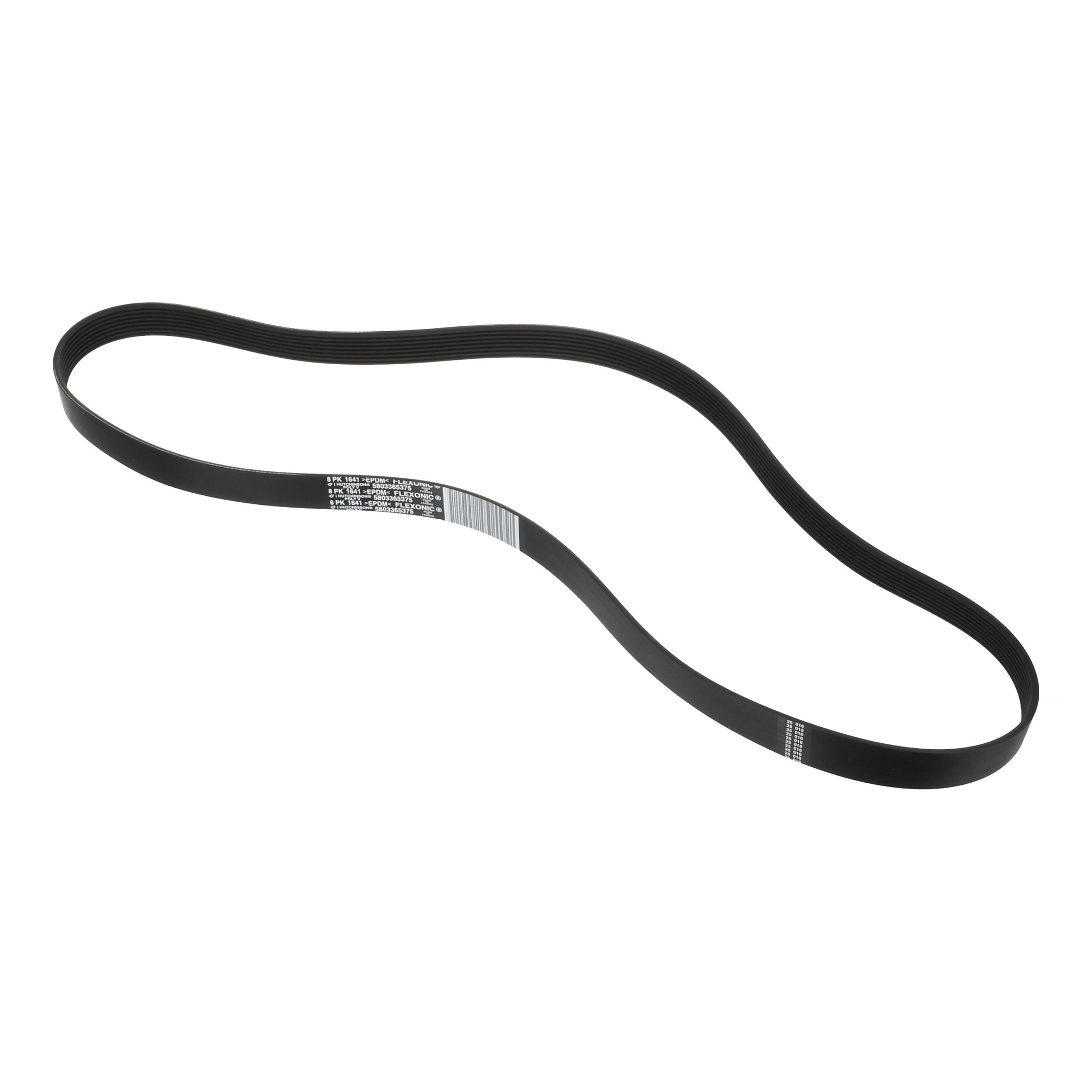 V-BELT | CASEIH | AMEA | FR