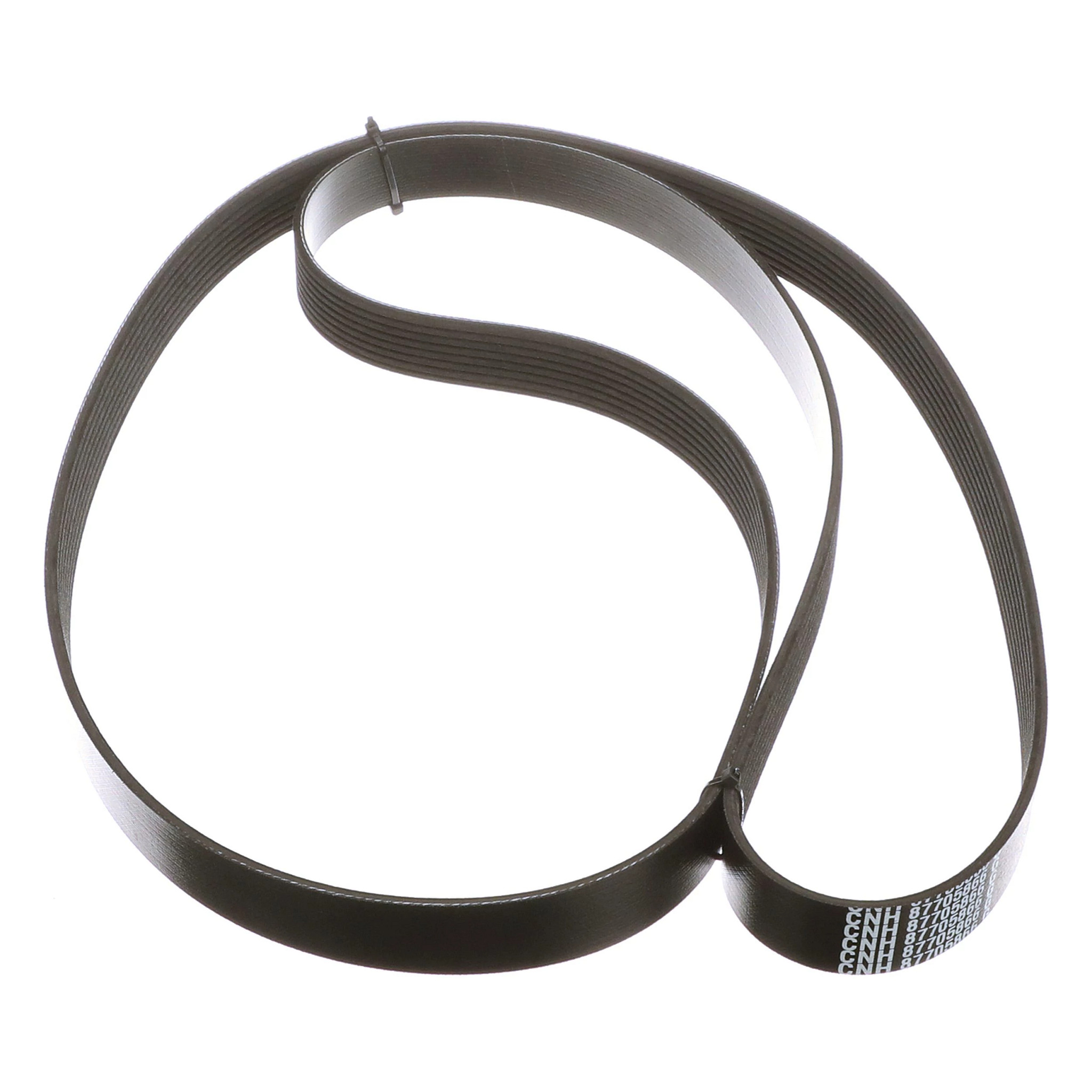 BELT | CASECE | US | EN