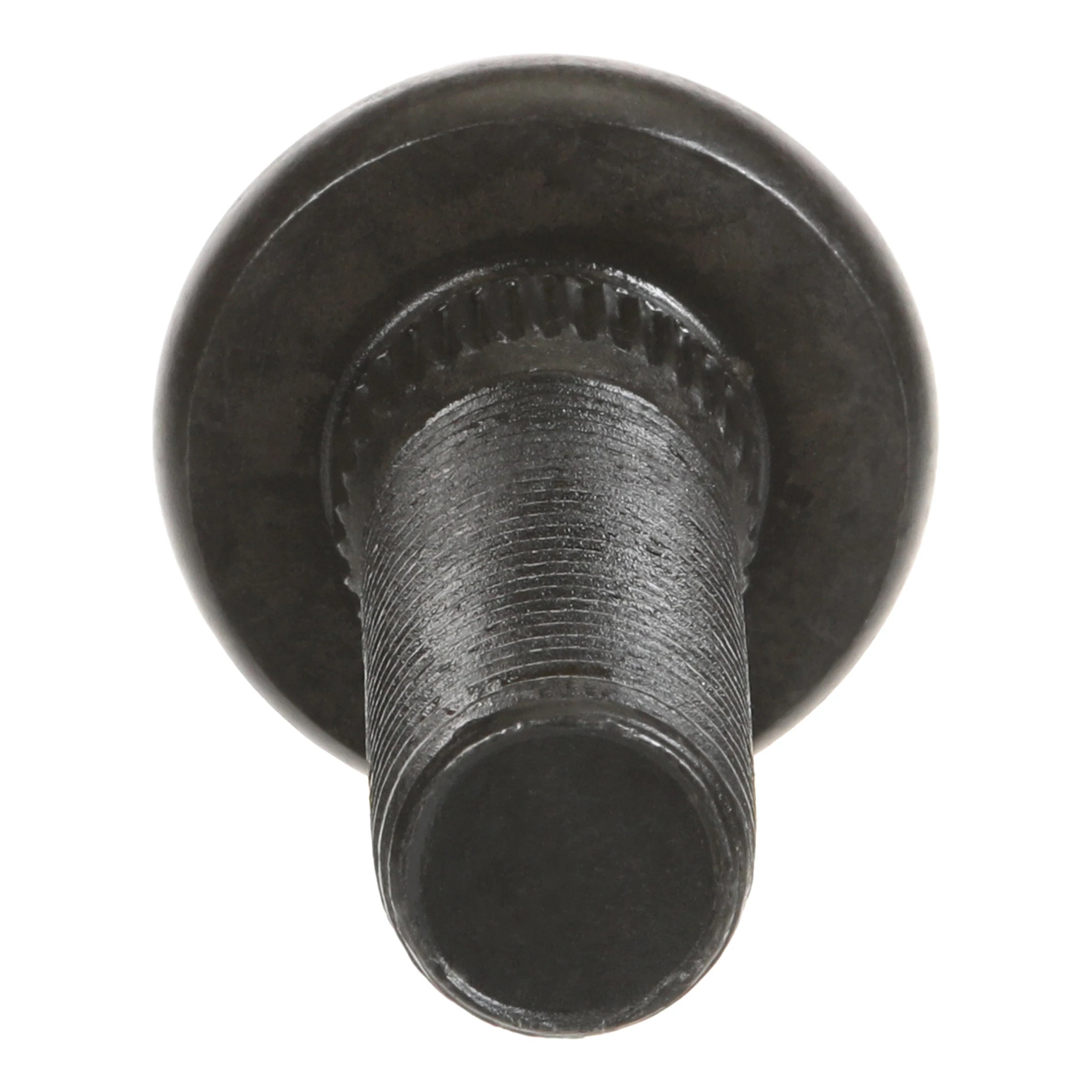 PRIGIONIERO | CASEIH | IT | IT