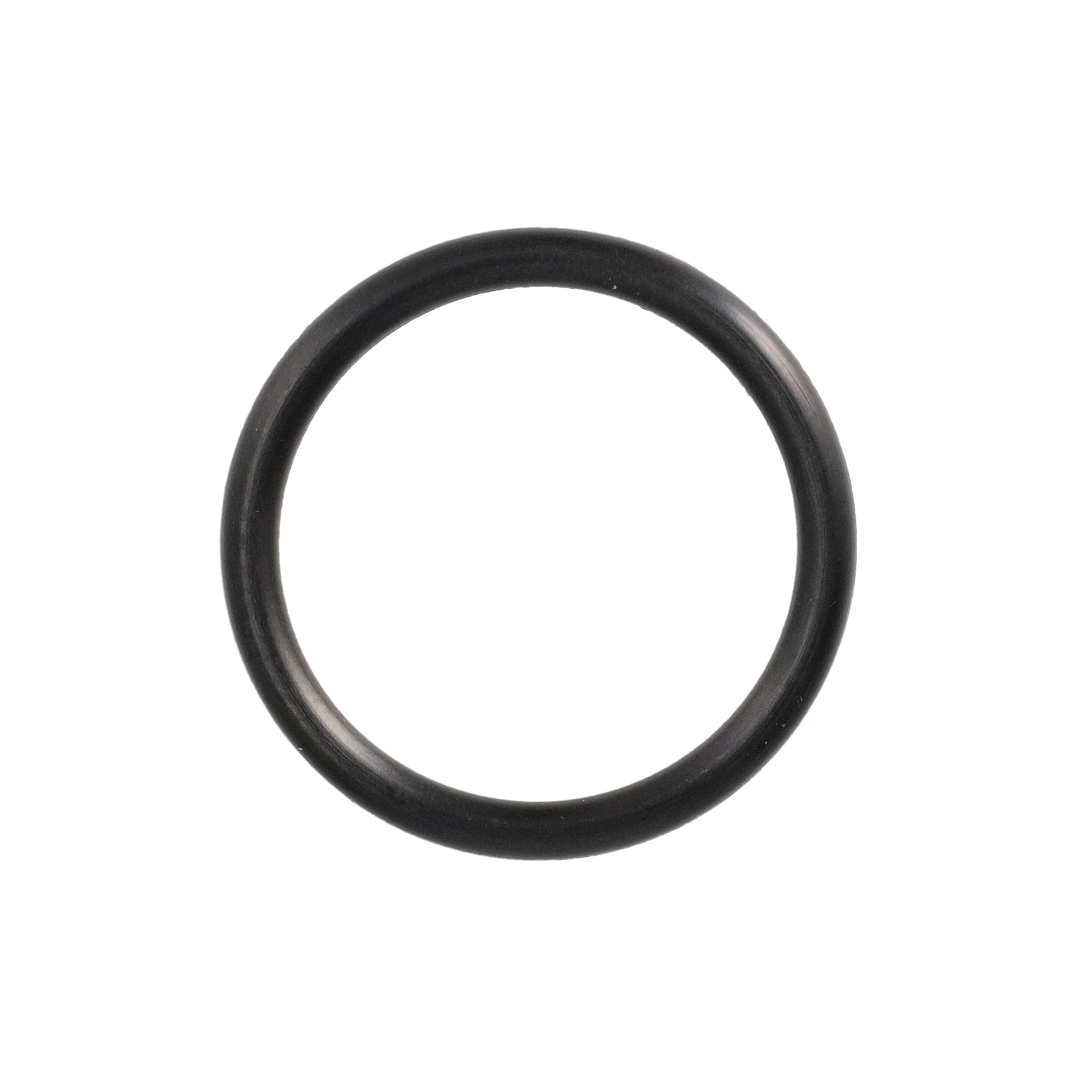 O-RING | CASEIH | AMEA | EN