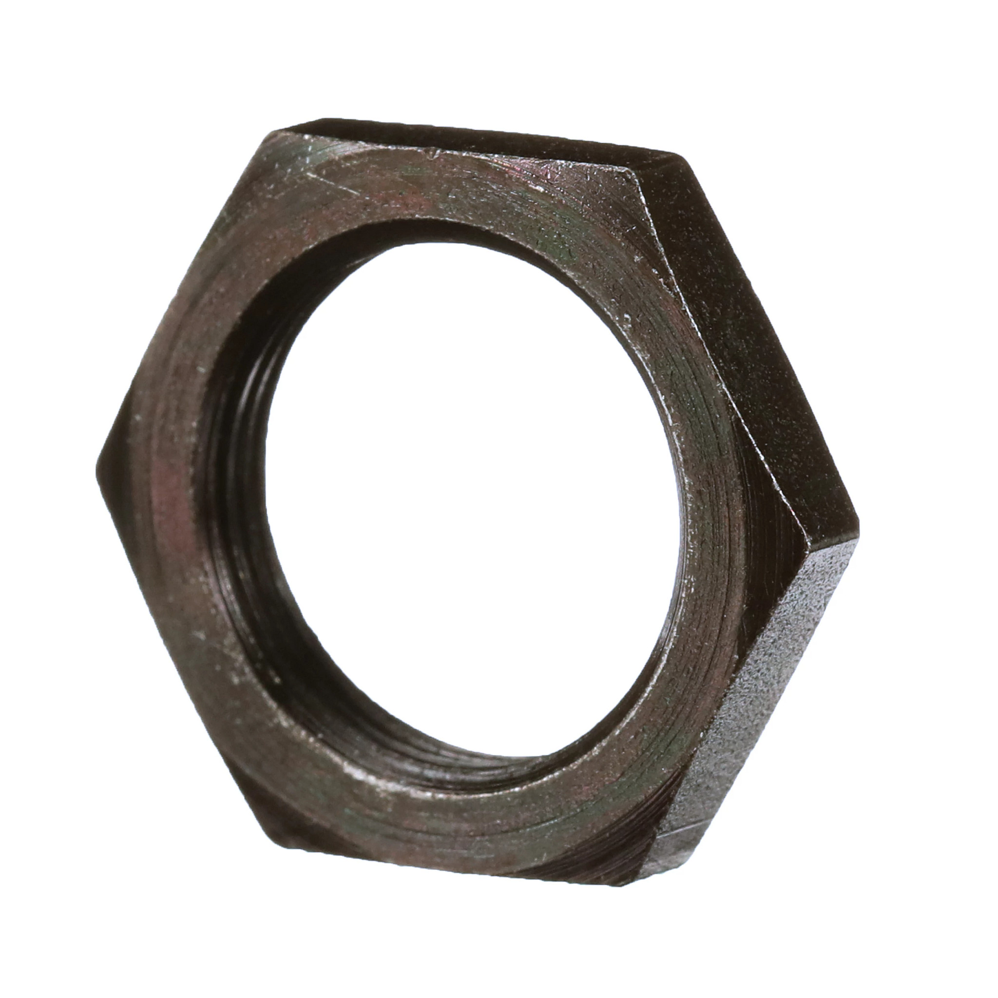 Porca | CASECE | BR | PT